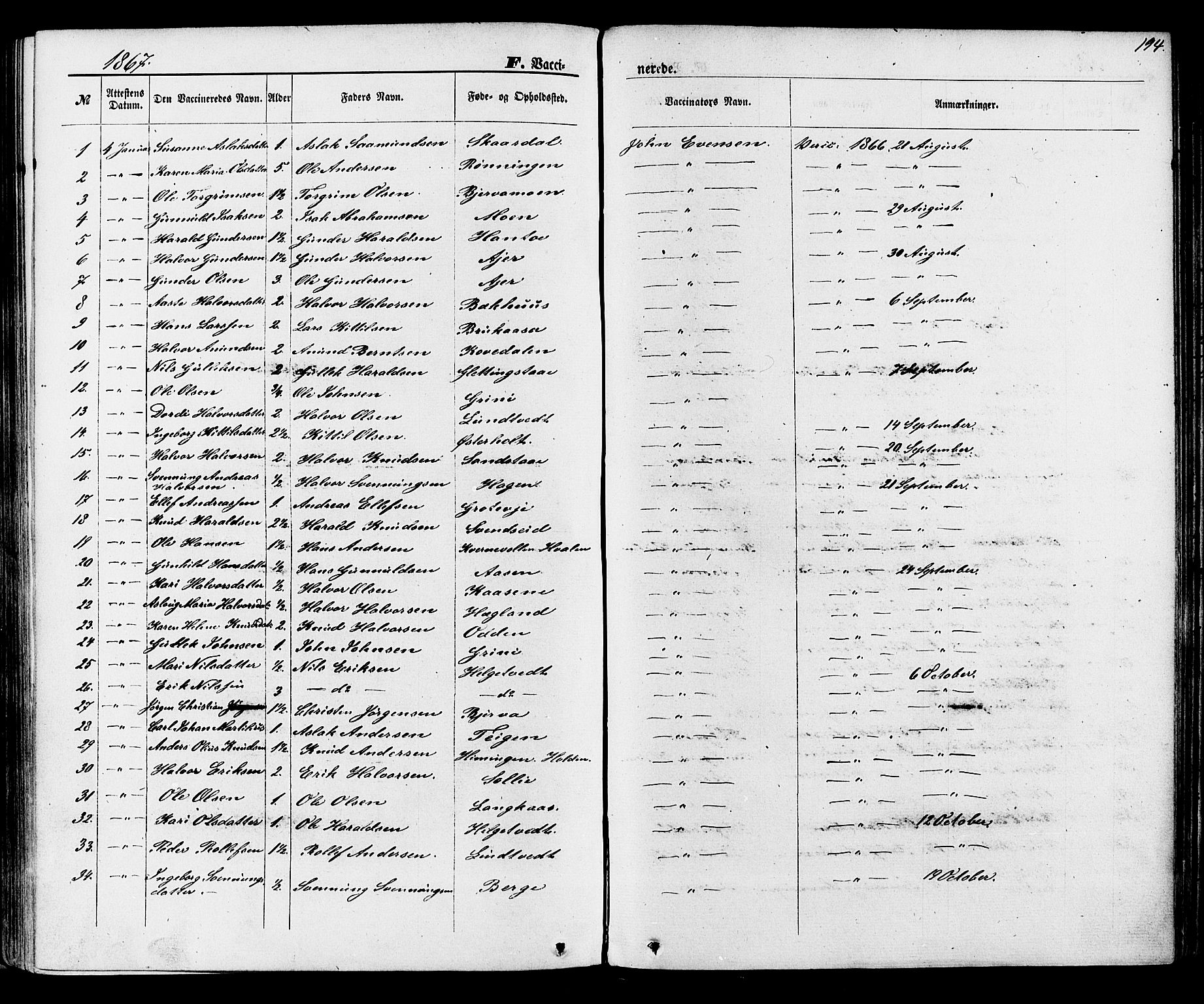 Lunde kirkebøker, SAKO/A-282/F/Fa/L0001: Parish register (official) no. I 1, 1866-1883, p. 194