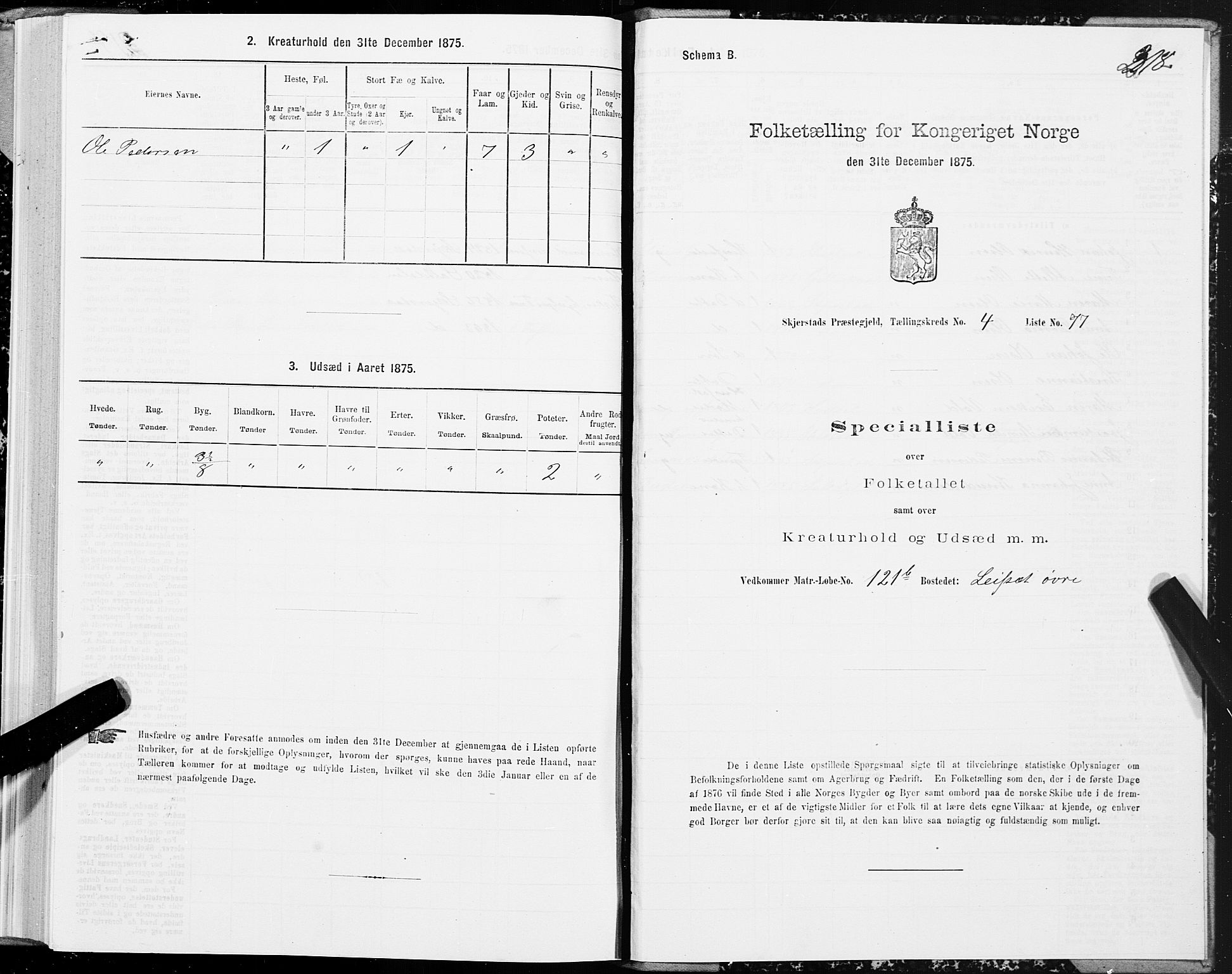 SAT, 1875 census for 1842P Skjerstad, 1875, p. 2218