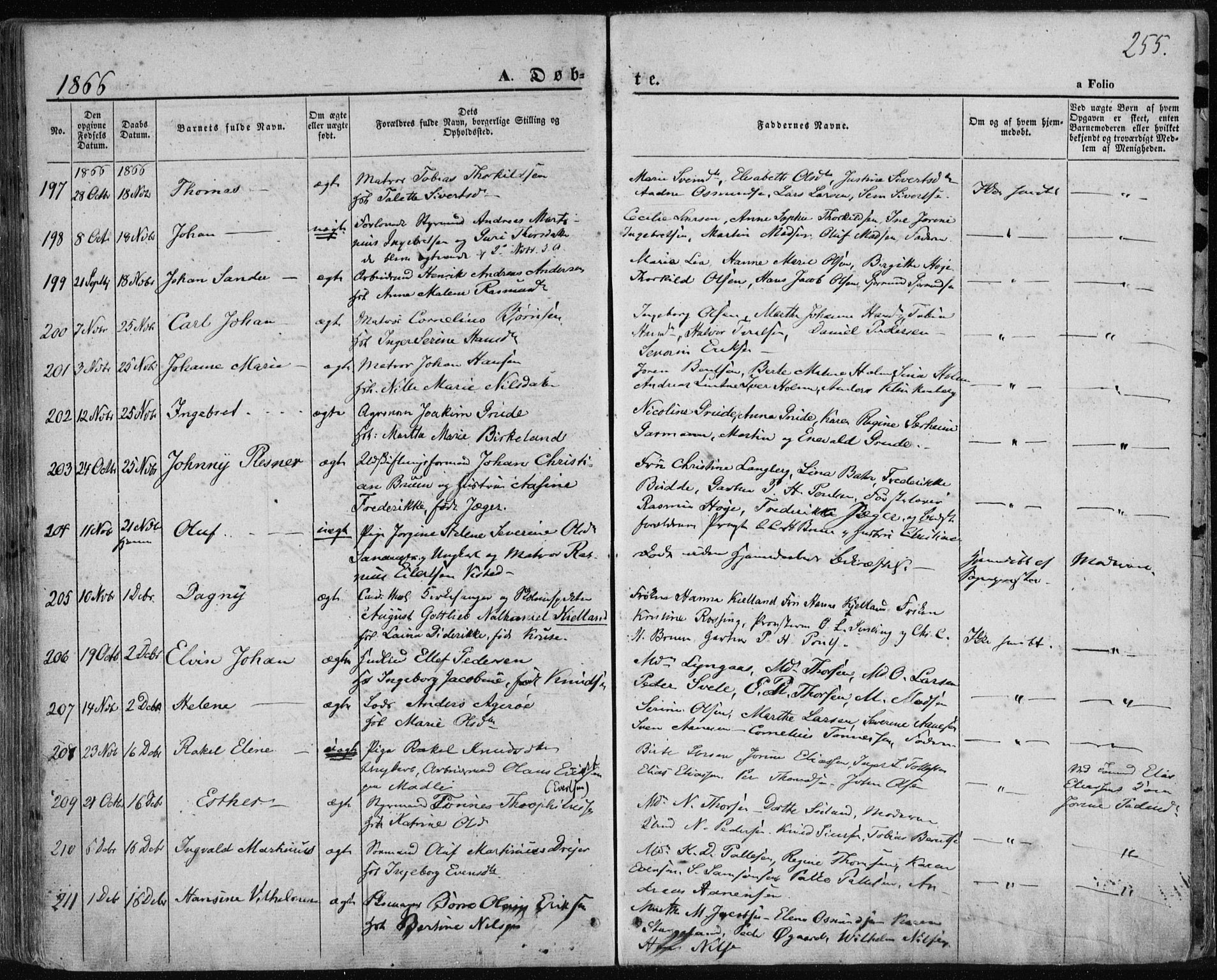 Domkirken sokneprestkontor, AV/SAST-A-101812/001/30/30BA/L0017: Parish register (official) no. A 16, 1855-1867, p. 255