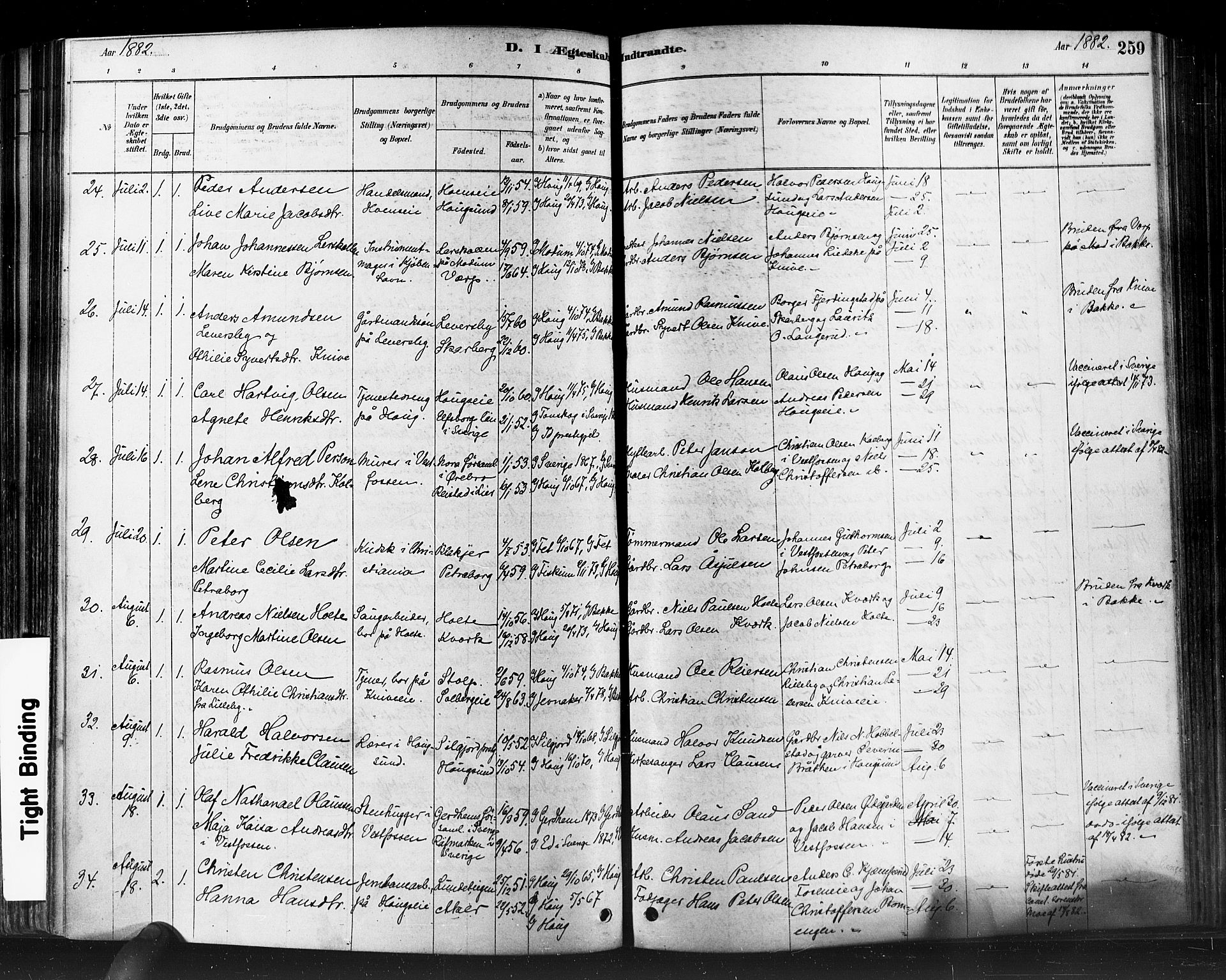 Eiker kirkebøker, AV/SAKO-A-4/F/Fb/L0001: Parish register (official) no. II 1, 1878-1888, p. 259