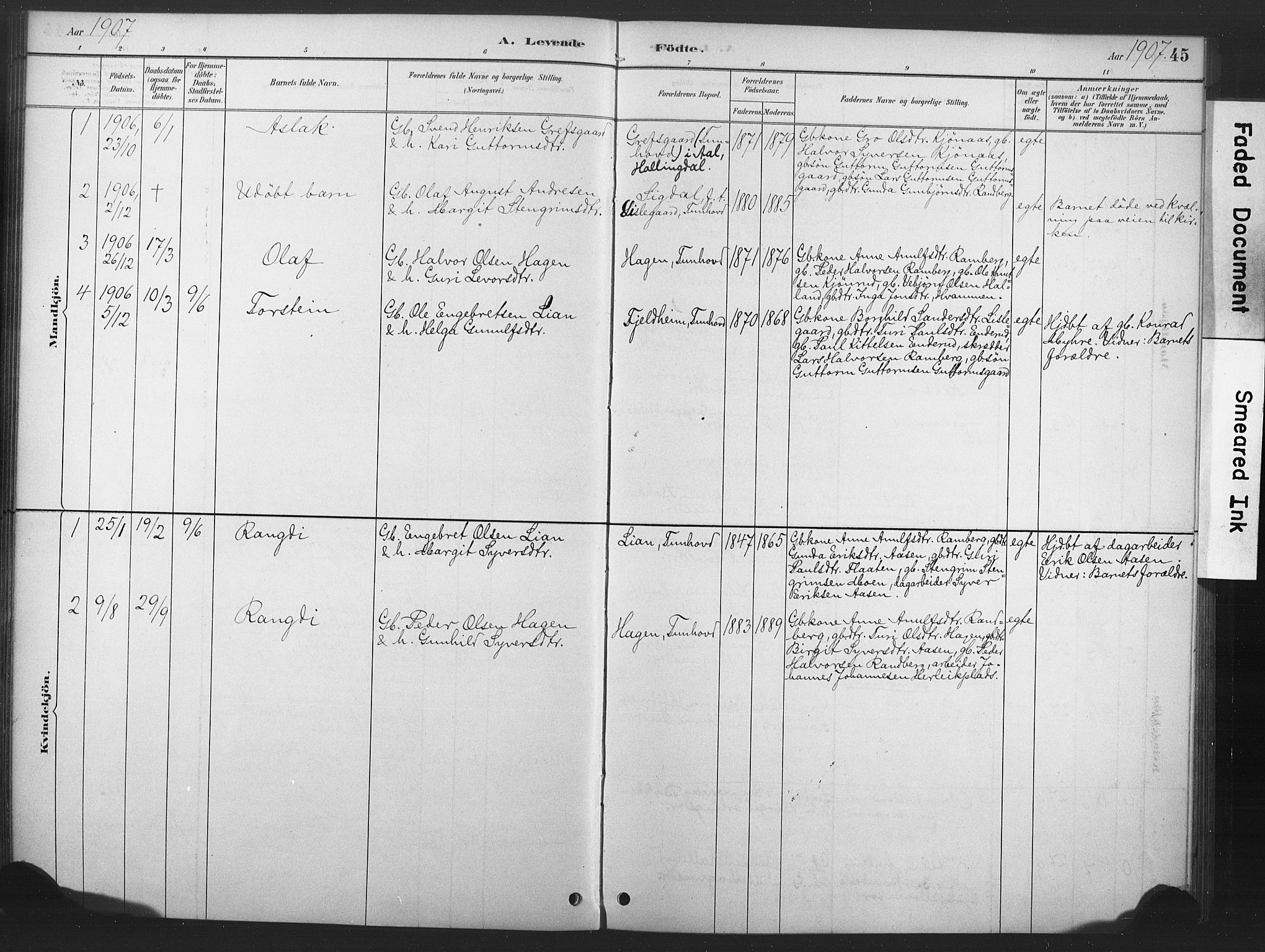 Nore kirkebøker, SAKO/A-238/F/Fd/L0001: Parish register (official) no. IV 1, 1878-1918, p. 45