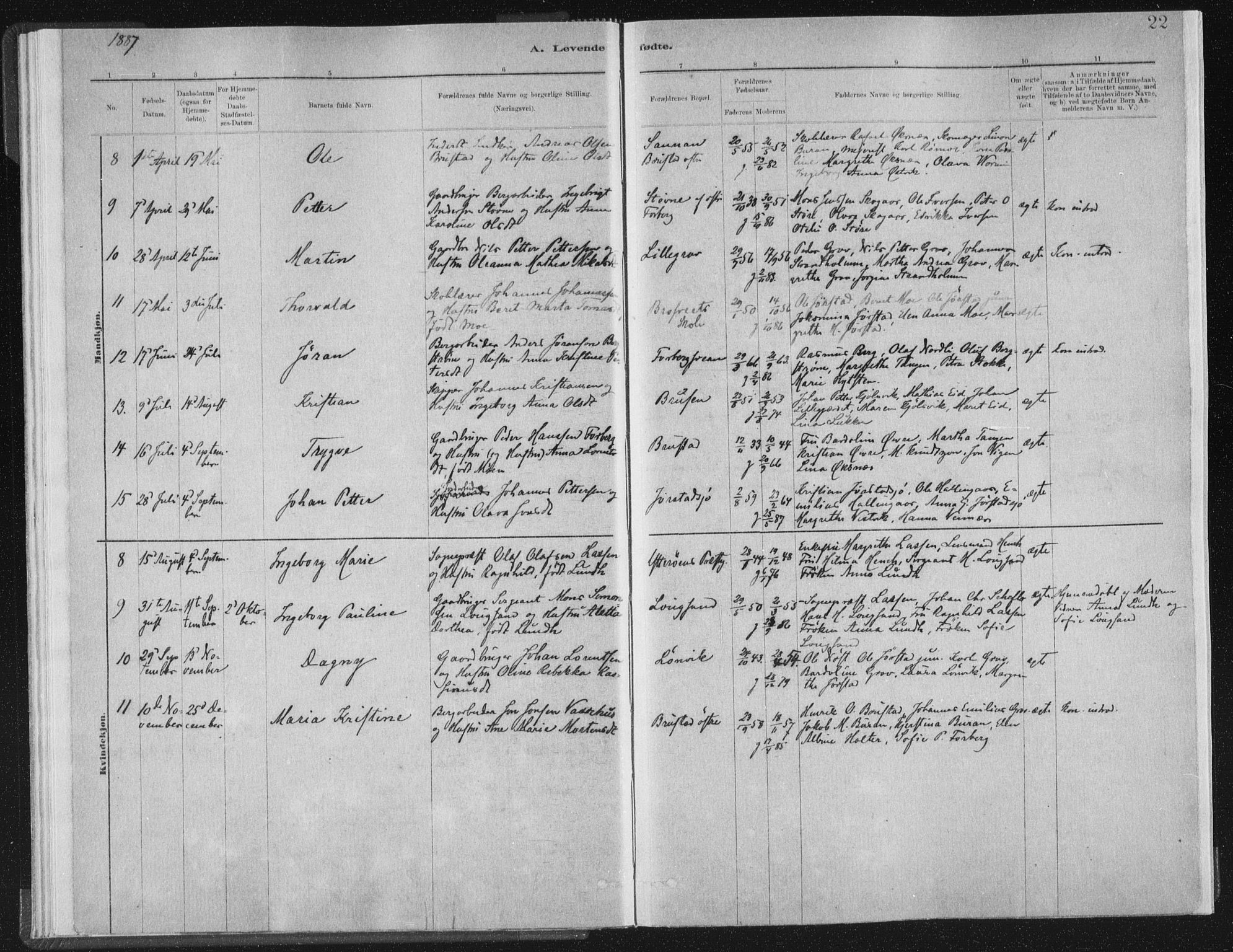 Ministerialprotokoller, klokkerbøker og fødselsregistre - Nord-Trøndelag, SAT/A-1458/722/L0220: Parish register (official) no. 722A07, 1881-1908, p. 22