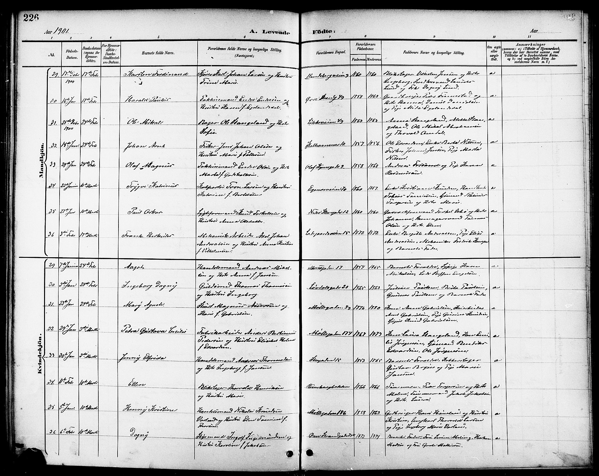 Domkirken sokneprestkontor, AV/SAST-A-101812/001/30/30BB/L0016: Parish register (copy) no. B 16, 1891-1902, p. 226