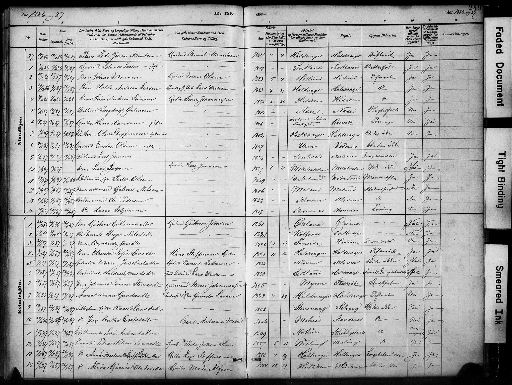 Finnås sokneprestembete, SAB/A-99925/H/Ha/Hab/Habb/L0003: Parish register (copy) no. B 3, 1882-1897, p. 249