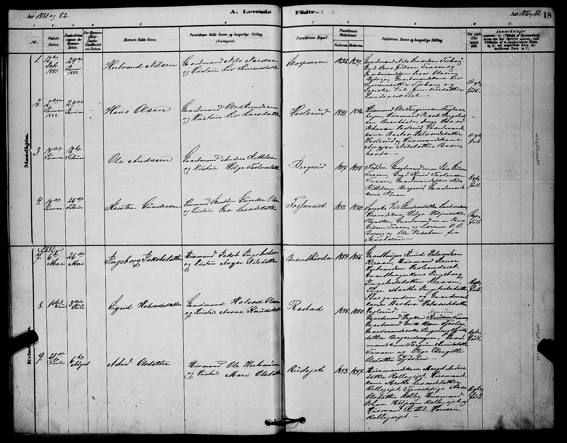Rollag kirkebøker, SAKO/A-240/G/Ga/L0004: Parish register (copy) no. I 4, 1878-1903, p. 18