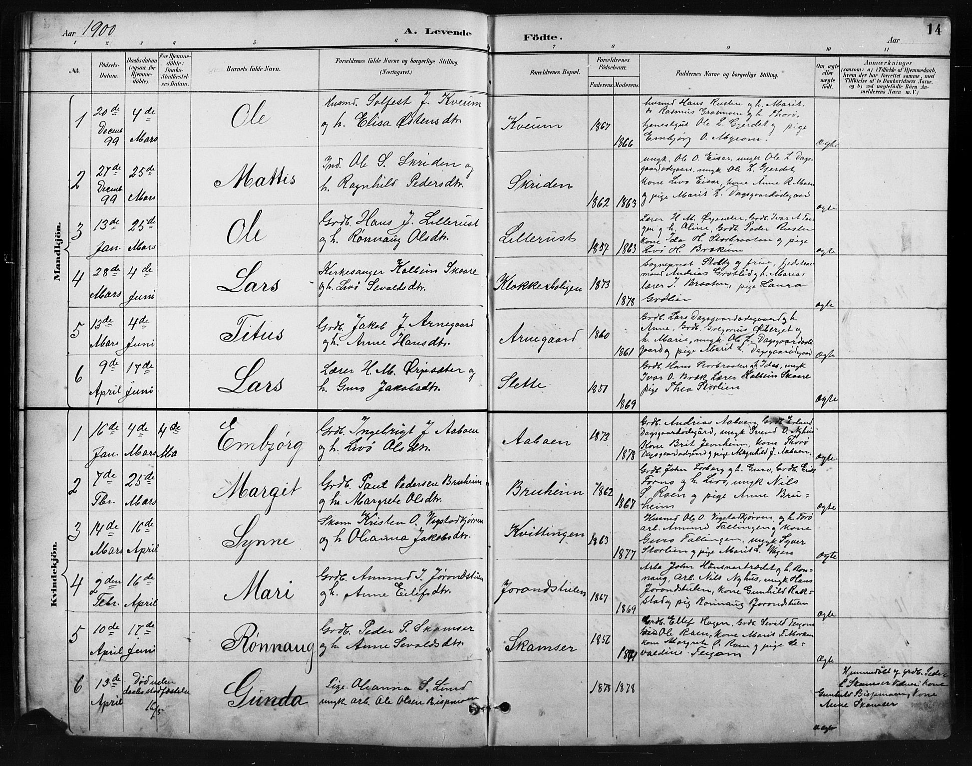 Skjåk prestekontor, AV/SAH-PREST-072/H/Ha/Hab/L0004: Parish register (copy) no. 4, 1895-1921, p. 14
