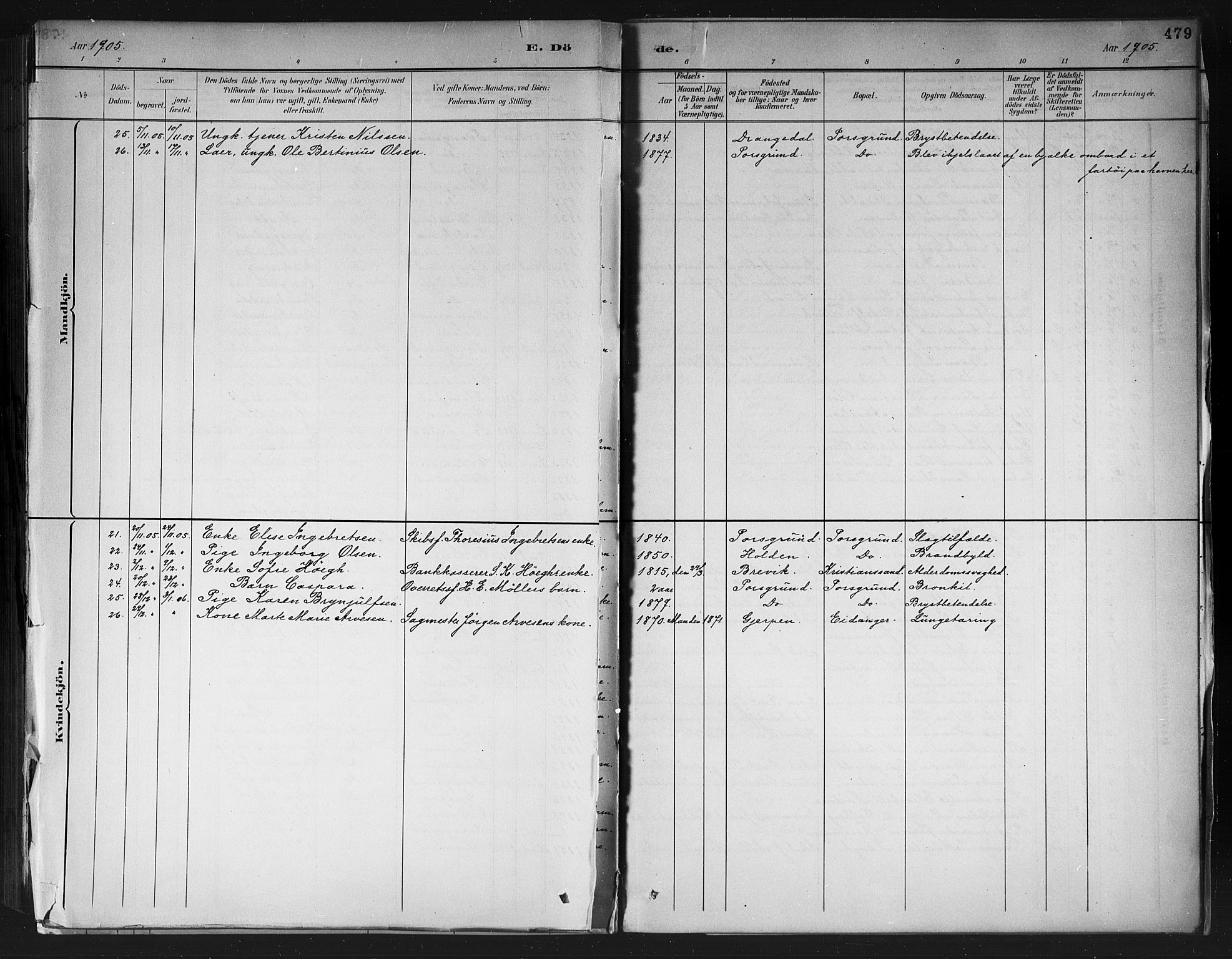 Porsgrunn kirkebøker , AV/SAKO-A-104/G/Gb/L0005: Parish register (copy) no. II 5, 1883-1915, p. 479