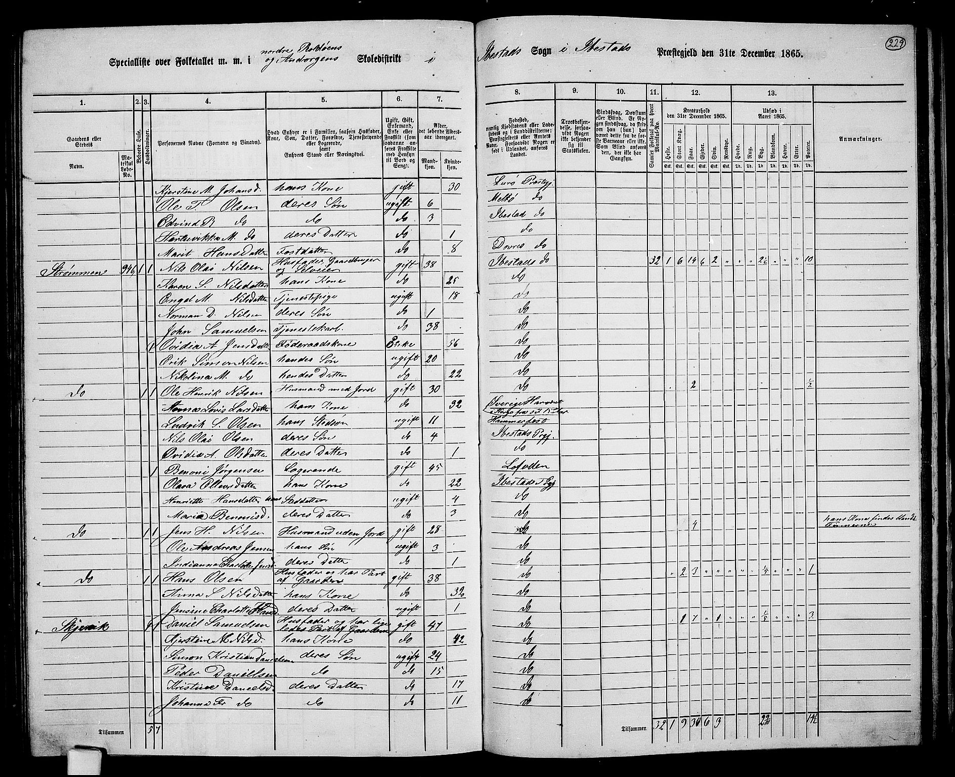RA, 1865 census for Ibestad, 1865, p. 214