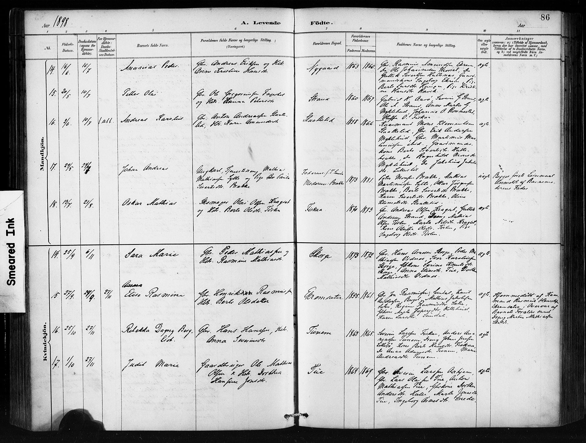 Ministerialprotokoller, klokkerbøker og fødselsregistre - Møre og Romsdal, AV/SAT-A-1454/501/L0008: Parish register (official) no. 501A08, 1885-1901, p. 86