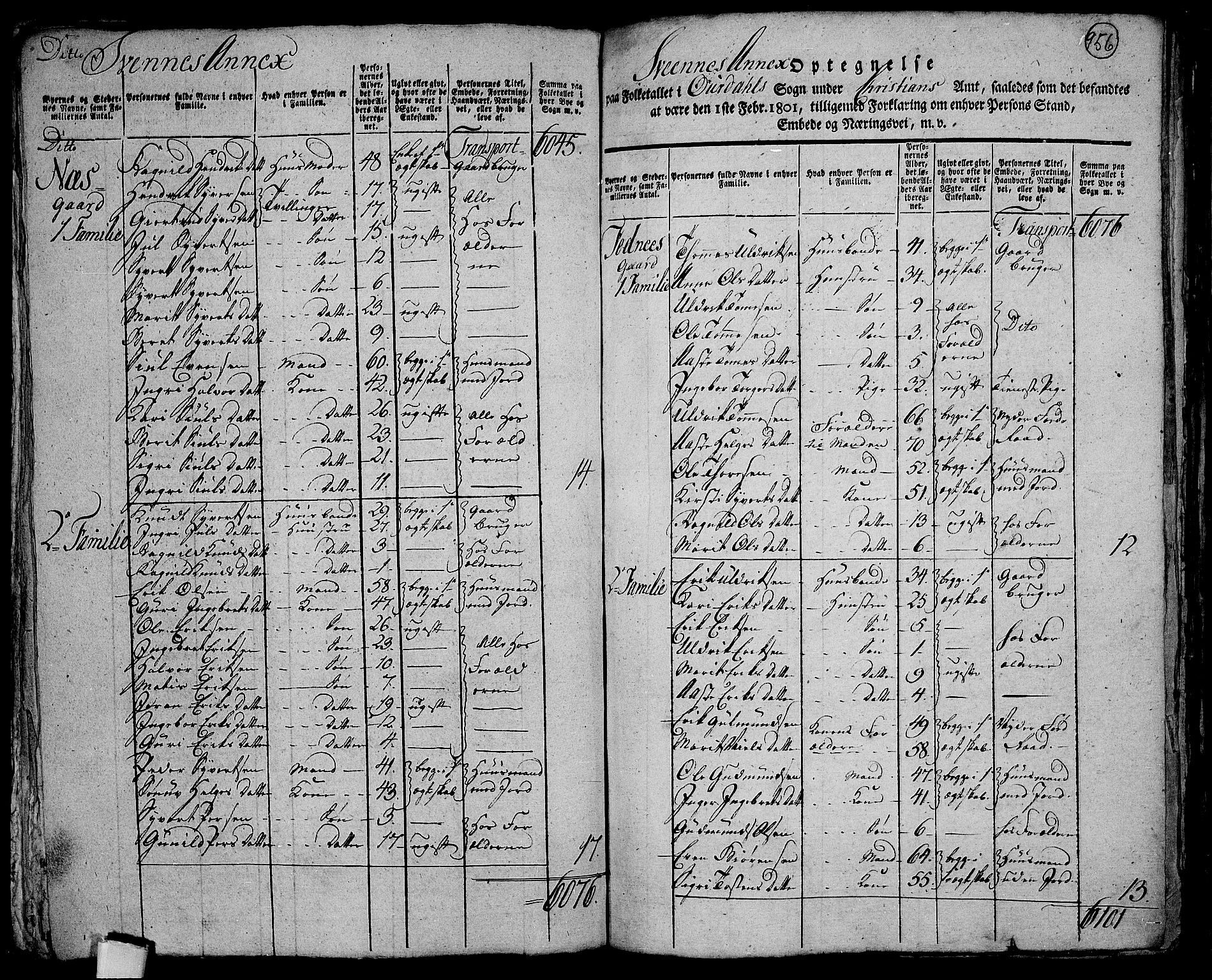 RA, 1801 census for 0542P Aurdal, 1801, p. 955b-956a