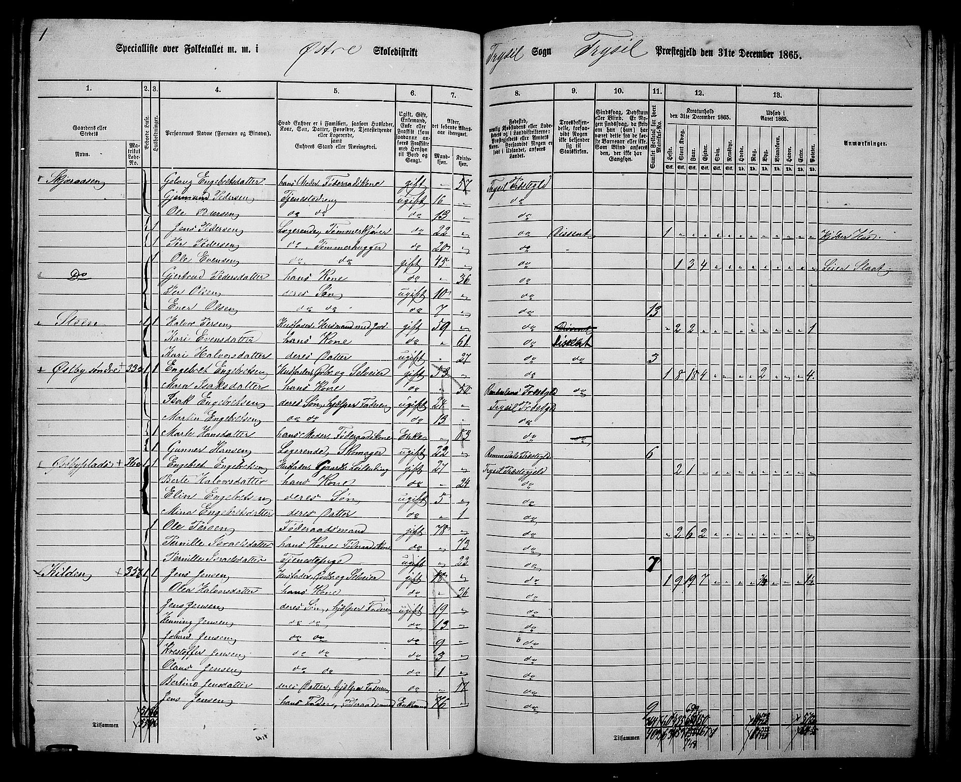 RA, 1865 census for Trysil, 1865, p. 141