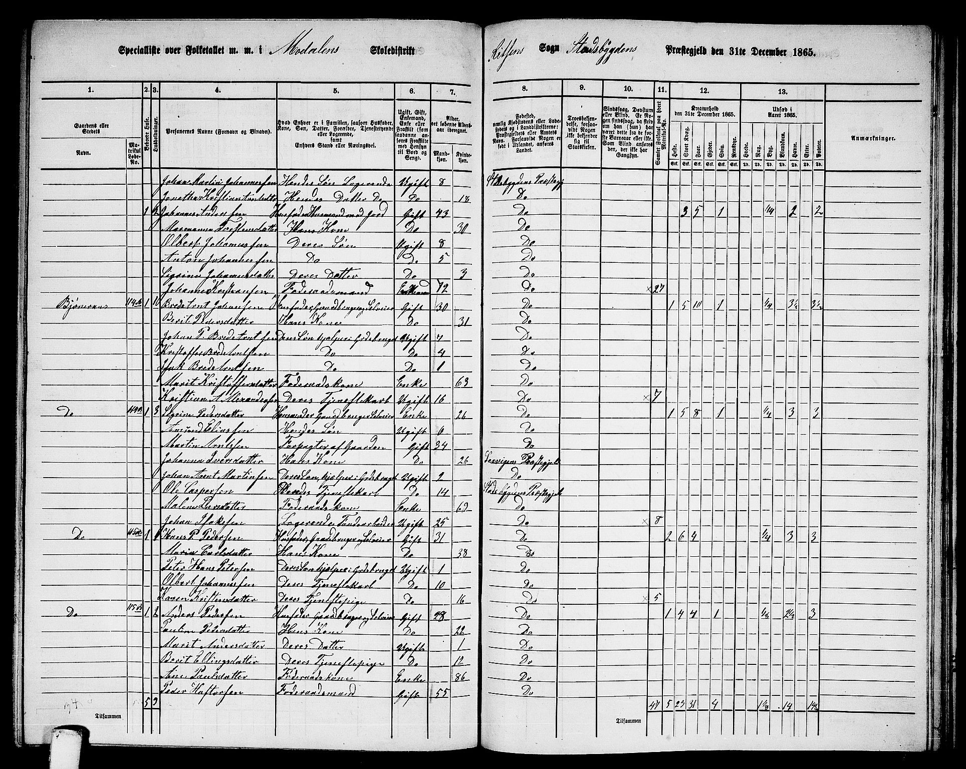 RA, 1865 census for Stadsbygd, 1865, p. 180