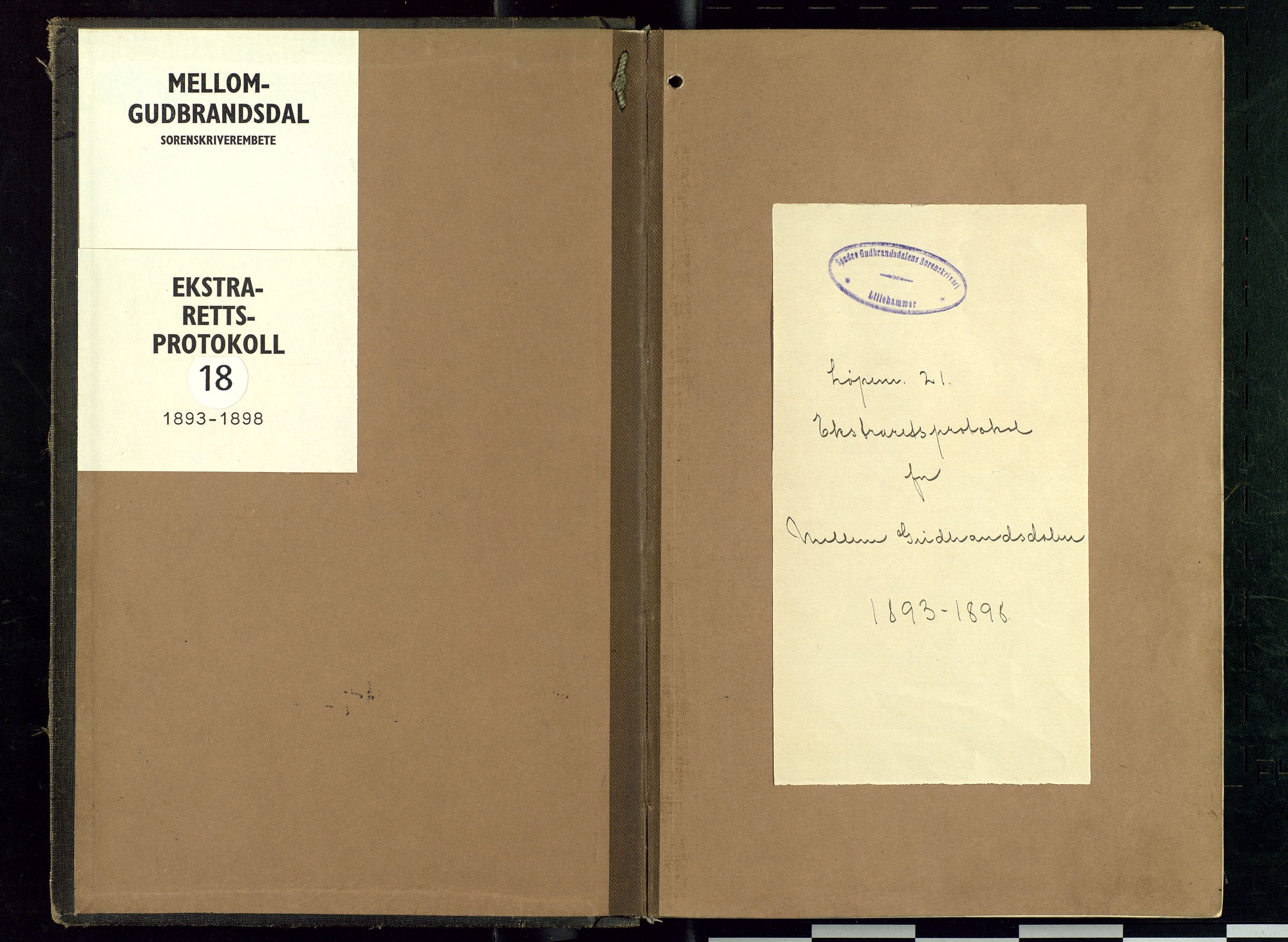 Mellom-Gudbrandsdal sorenskriveri, SAH/TING-038/G/Gc/Gca/L0018: Ekstrarettsprotokoll, 1893-1898