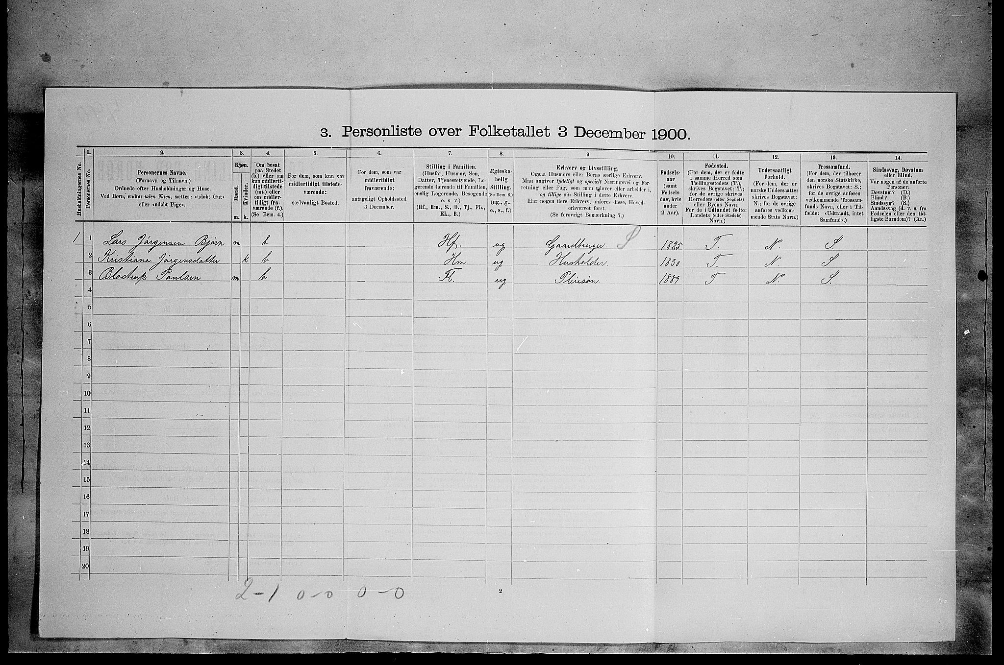 SAH, 1900 census for Tynset, 1900, p. 1005