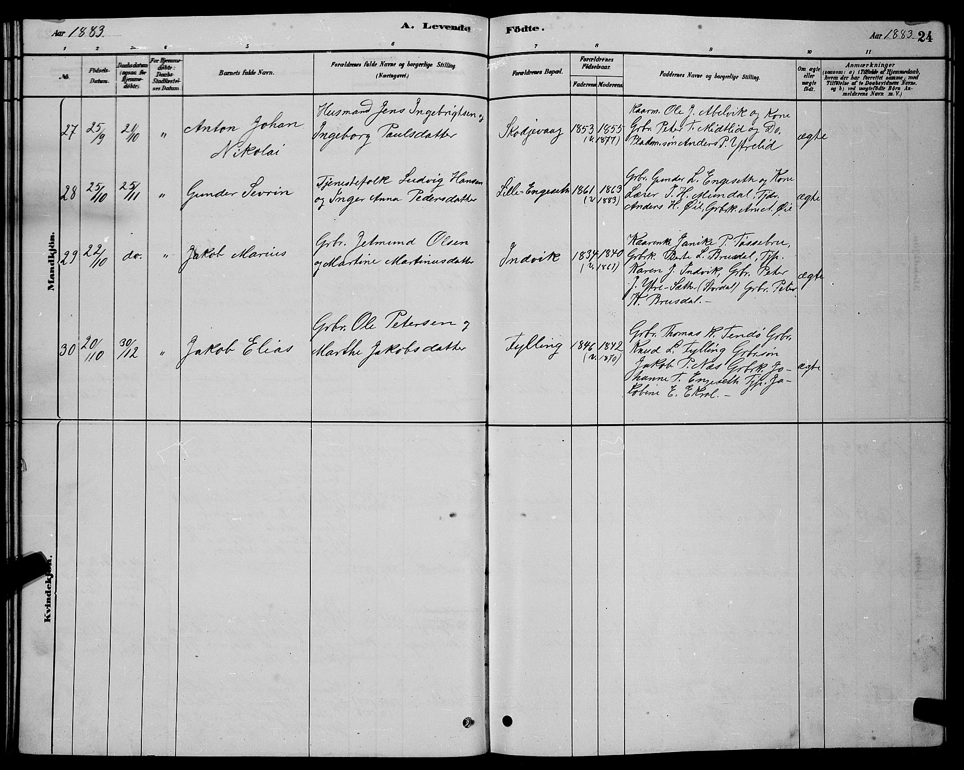 Ministerialprotokoller, klokkerbøker og fødselsregistre - Møre og Romsdal, SAT/A-1454/524/L0365: Parish register (copy) no. 524C06, 1880-1899, p. 24