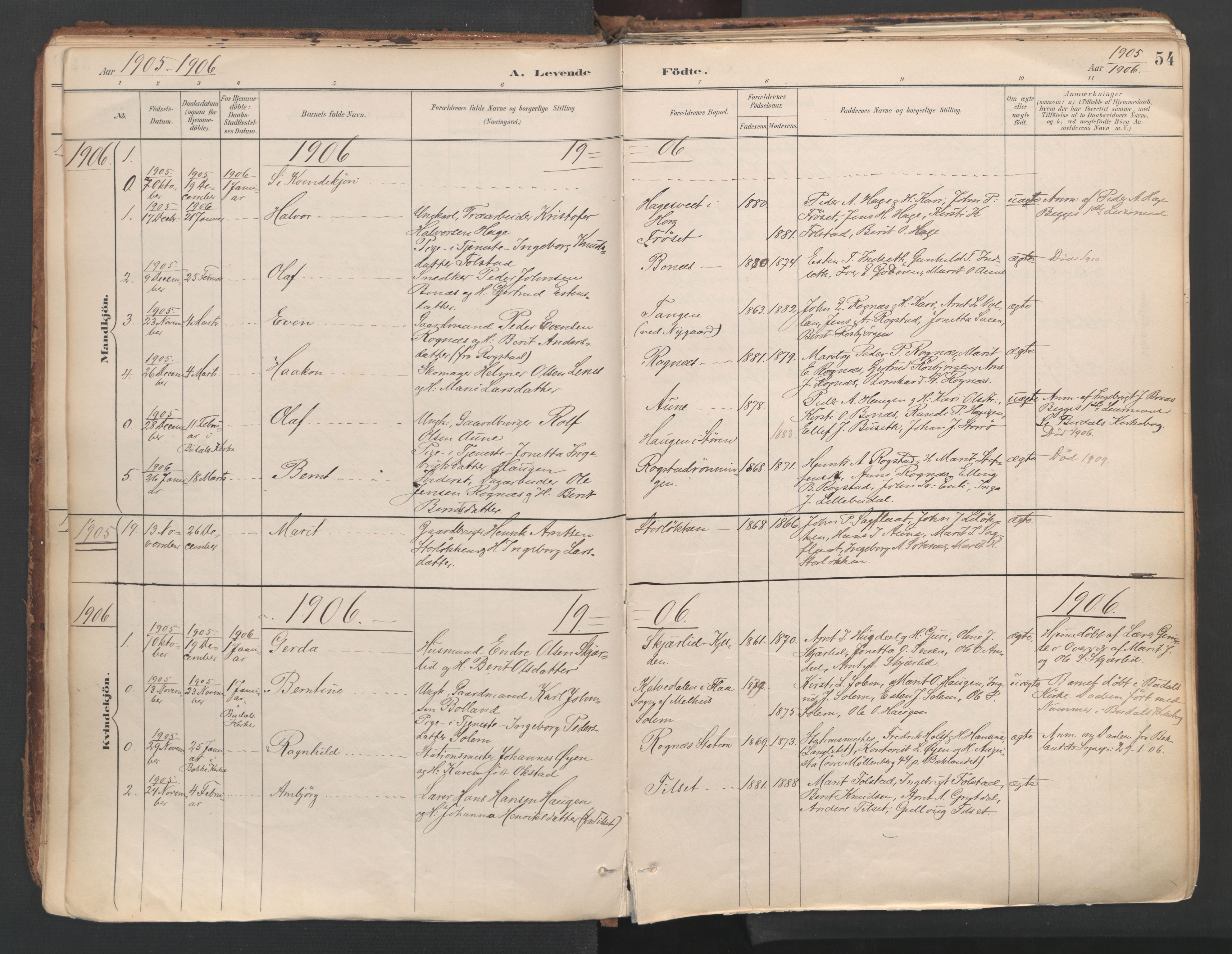 Ministerialprotokoller, klokkerbøker og fødselsregistre - Sør-Trøndelag, SAT/A-1456/687/L1004: Parish register (official) no. 687A10, 1891-1923, p. 54