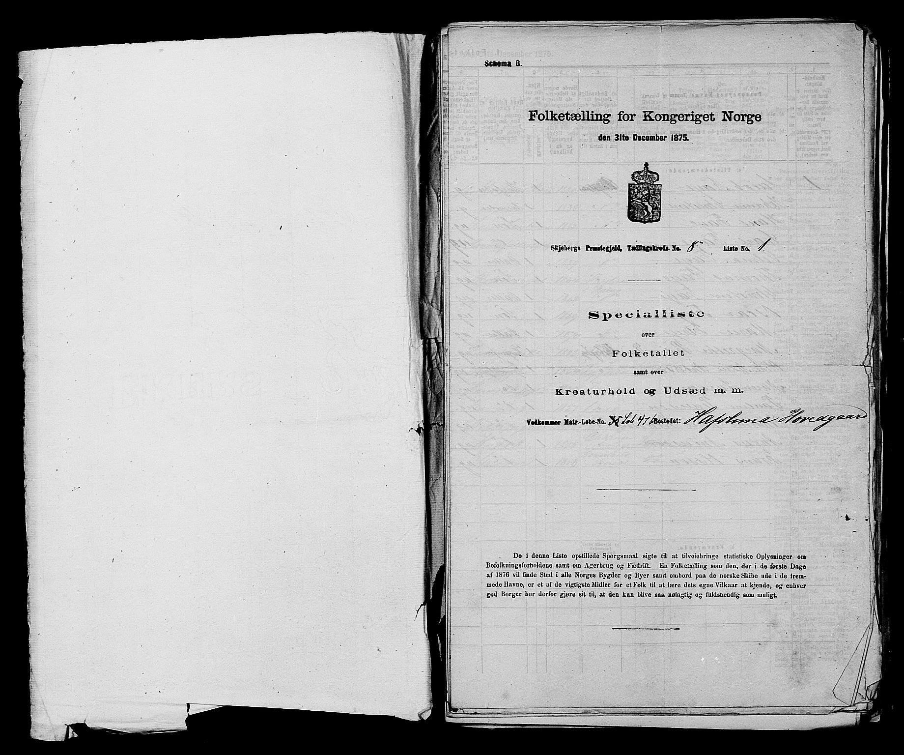 RA, 1875 census for 0115P Skjeberg, 1875, p. 1332