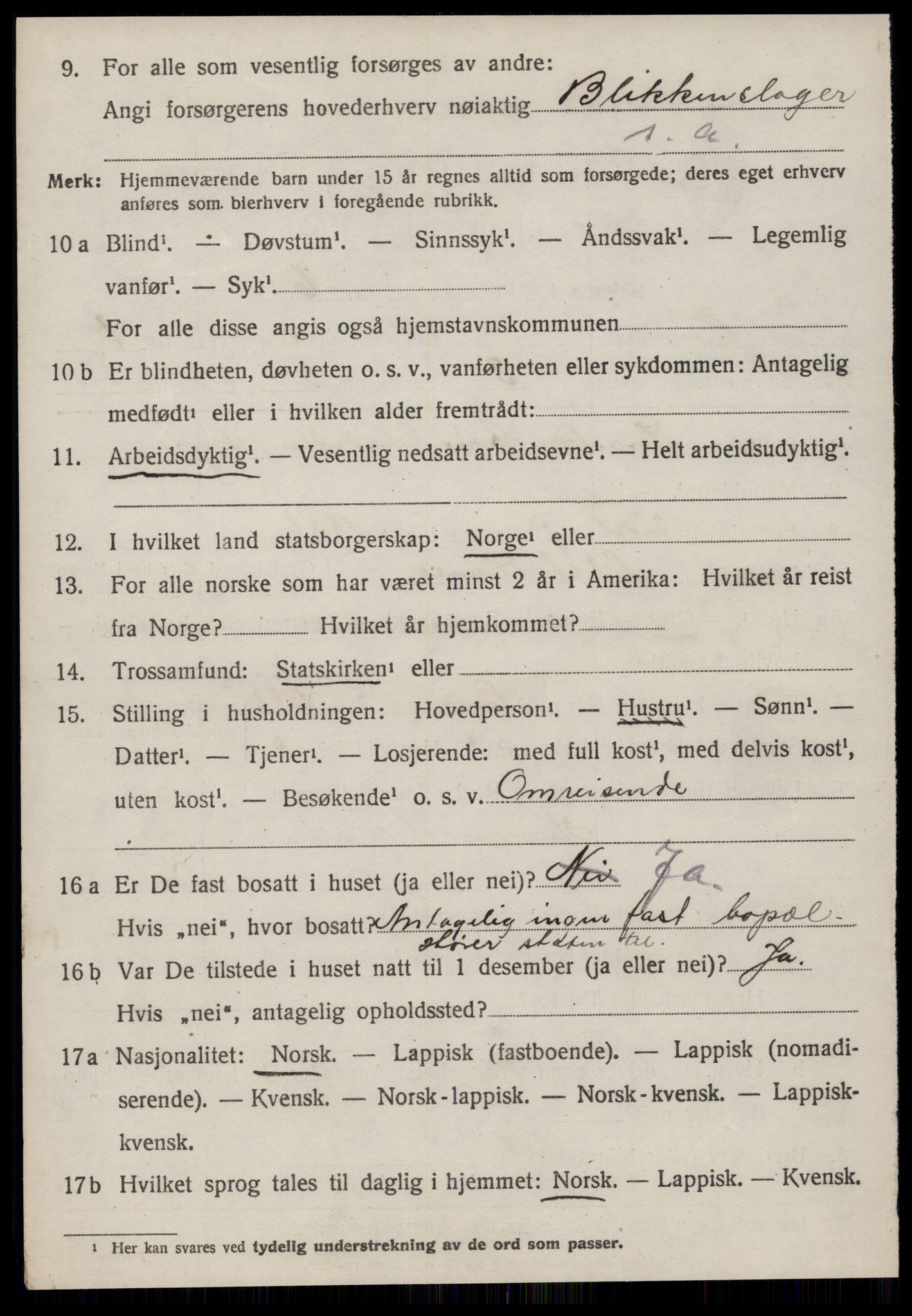 SAT, 1920 census for Rennebu, 1920, p. 1109