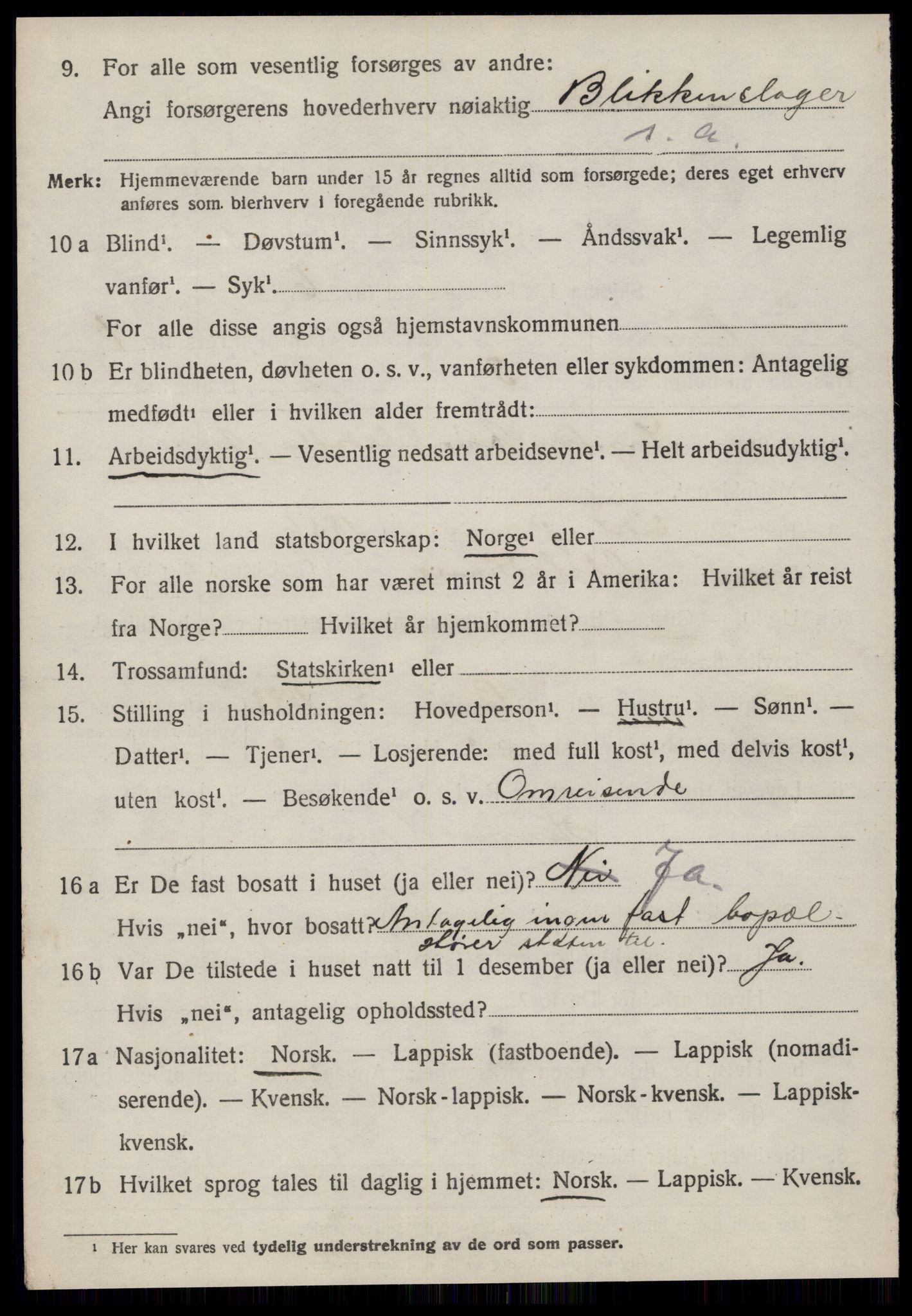 SAT, 1920 census for Rennebu, 1920, p. 1109