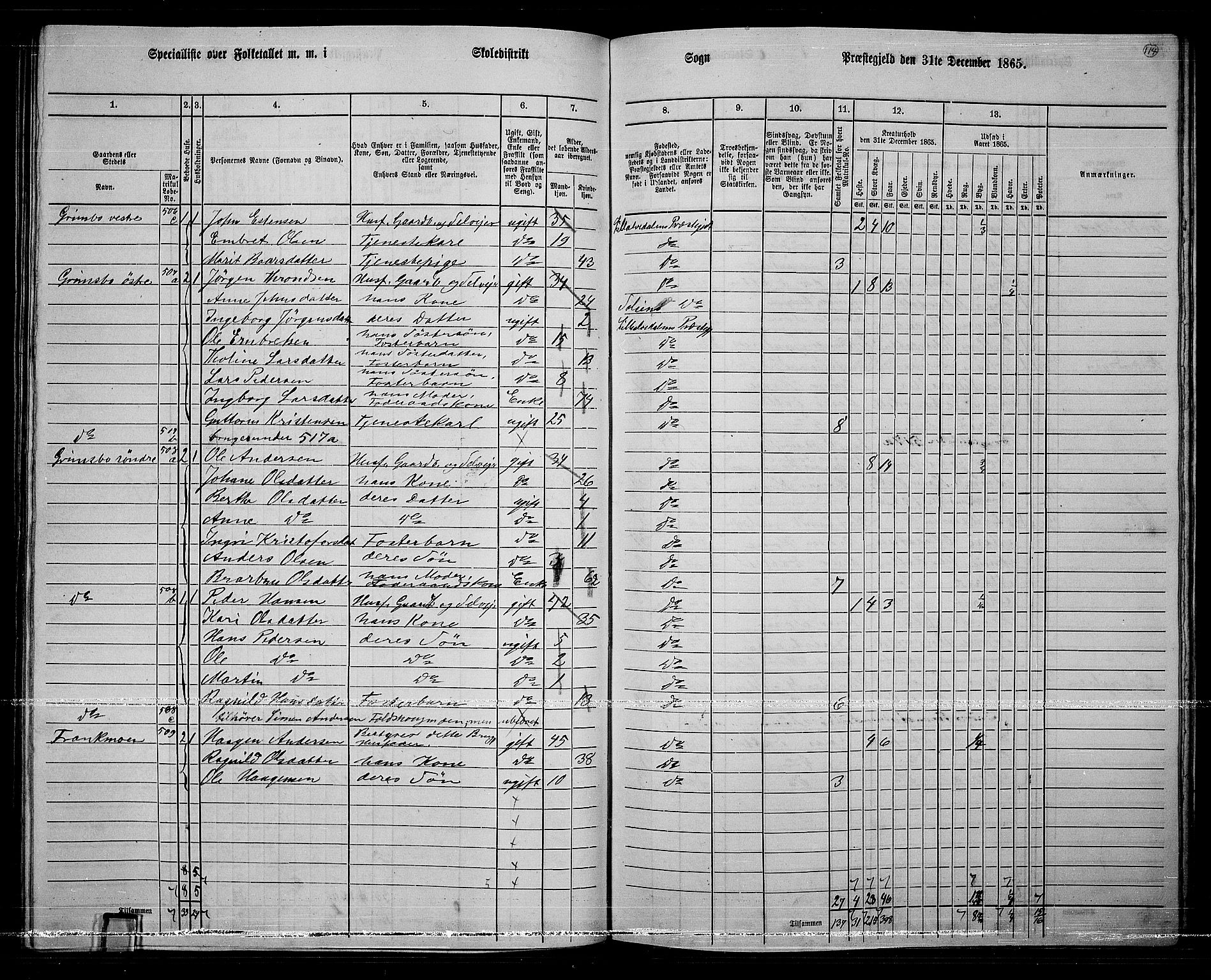 RA, 1865 census for Lille Elvedalen, 1865, p. 99