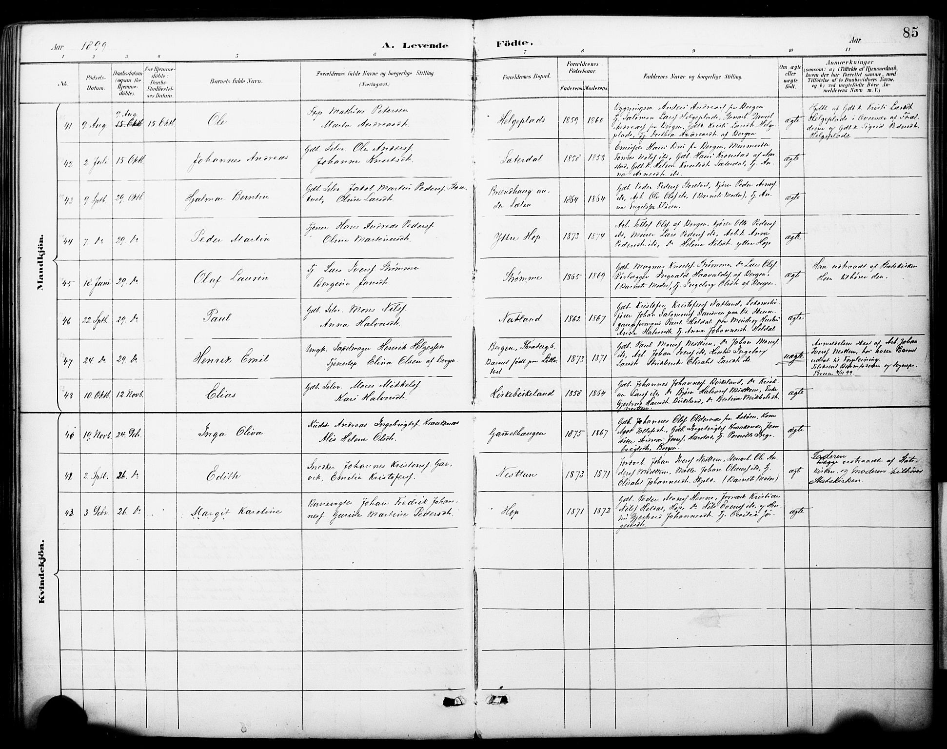 Fana Sokneprestembete, AV/SAB-A-75101/H/Haa/Haai/L0002: Parish register (official) no. I 2, 1888-1899, p. 85