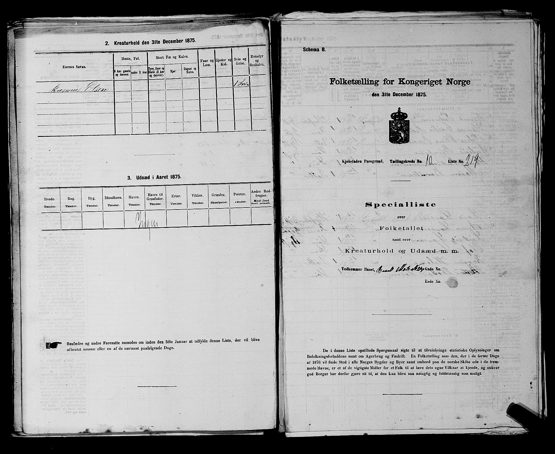 SAKO, 1875 census for 0805P Porsgrunn, 1875, p. 506