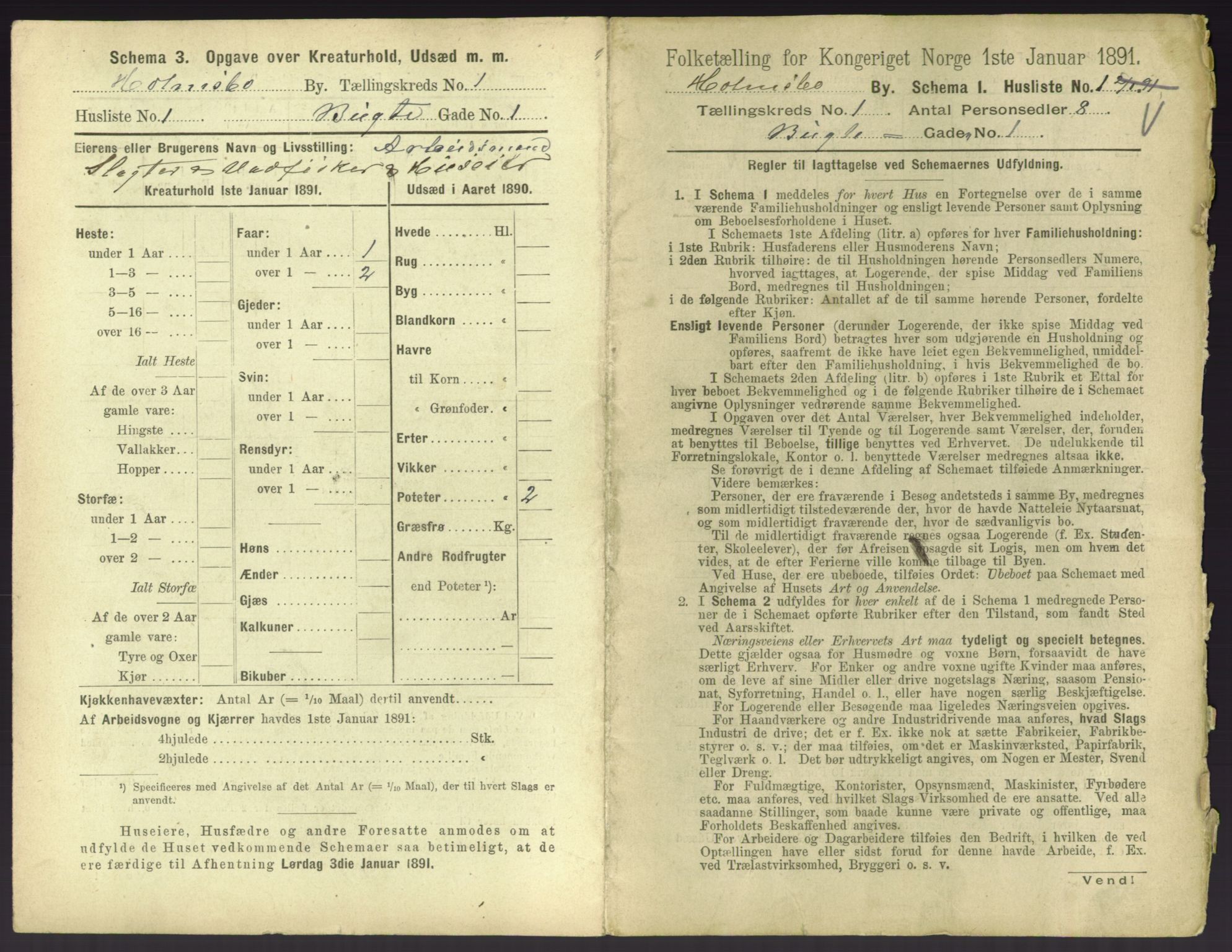 RA, 1891 census for 0603 Holmsbu, 1891, p. 9