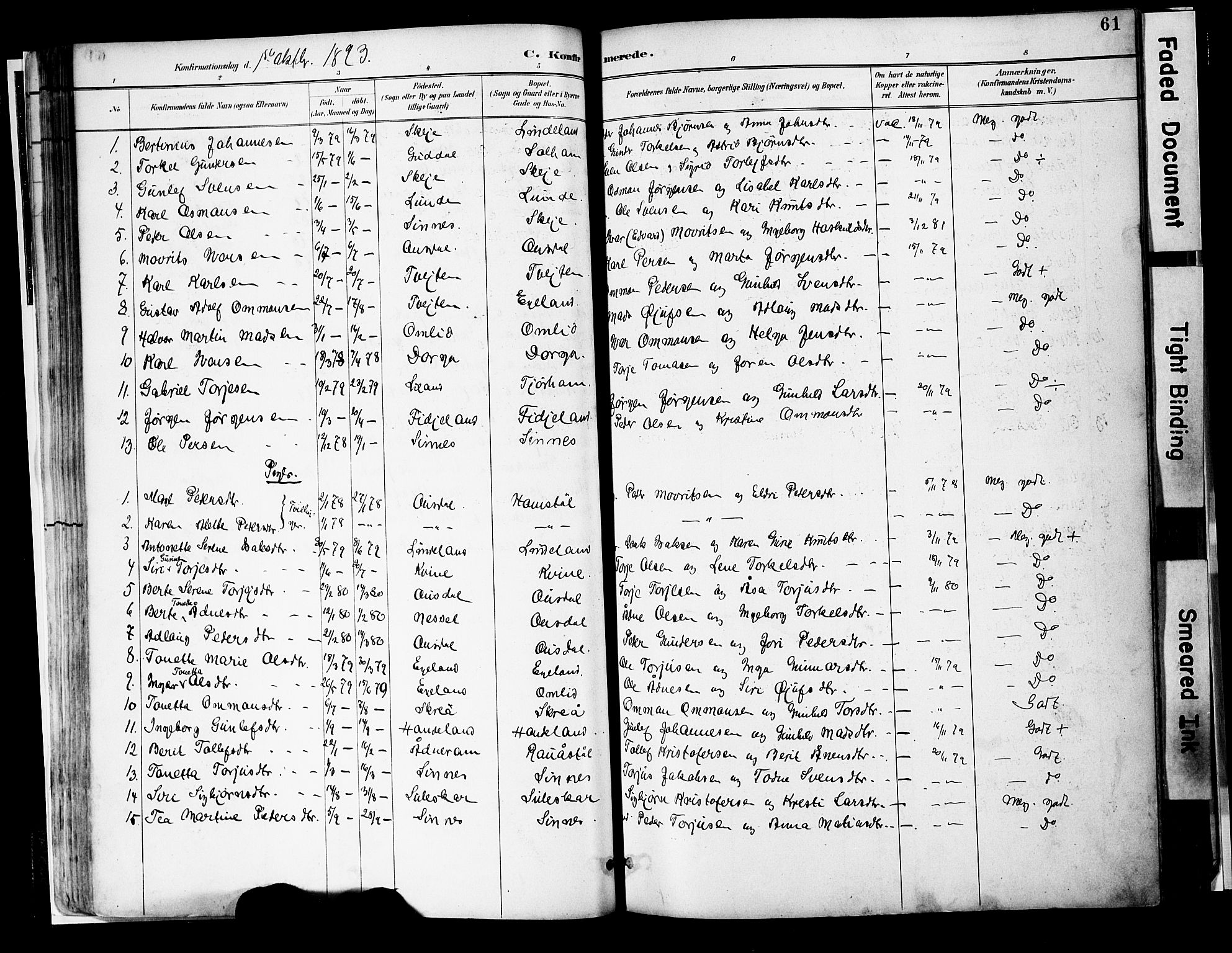 Sirdal sokneprestkontor, SAK/1111-0036/F/Fa/Faa/L0001: Parish register (official) no. A 1, 1887-1910, p. 61