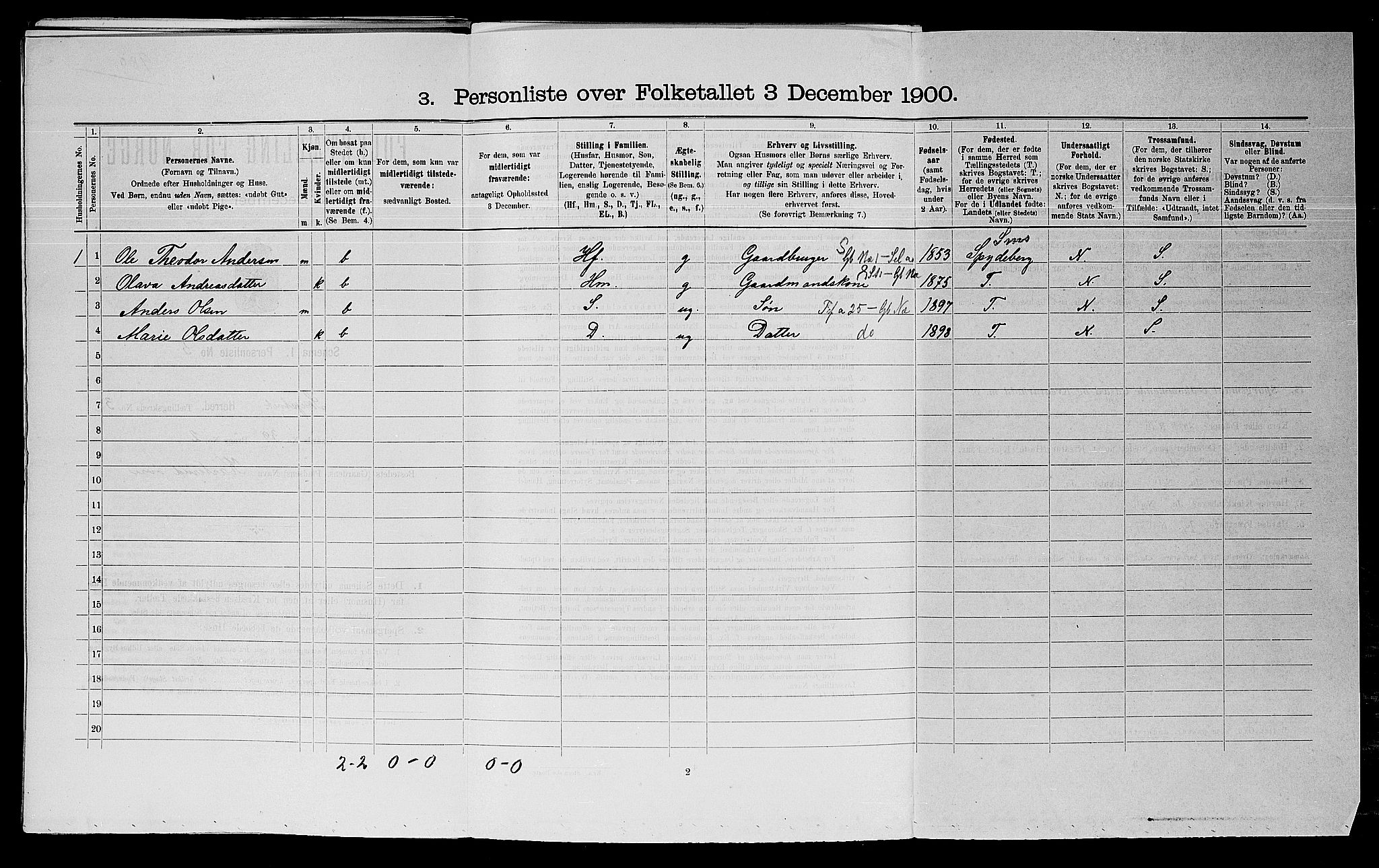 SAO, 1900 census for Skiptvet, 1900