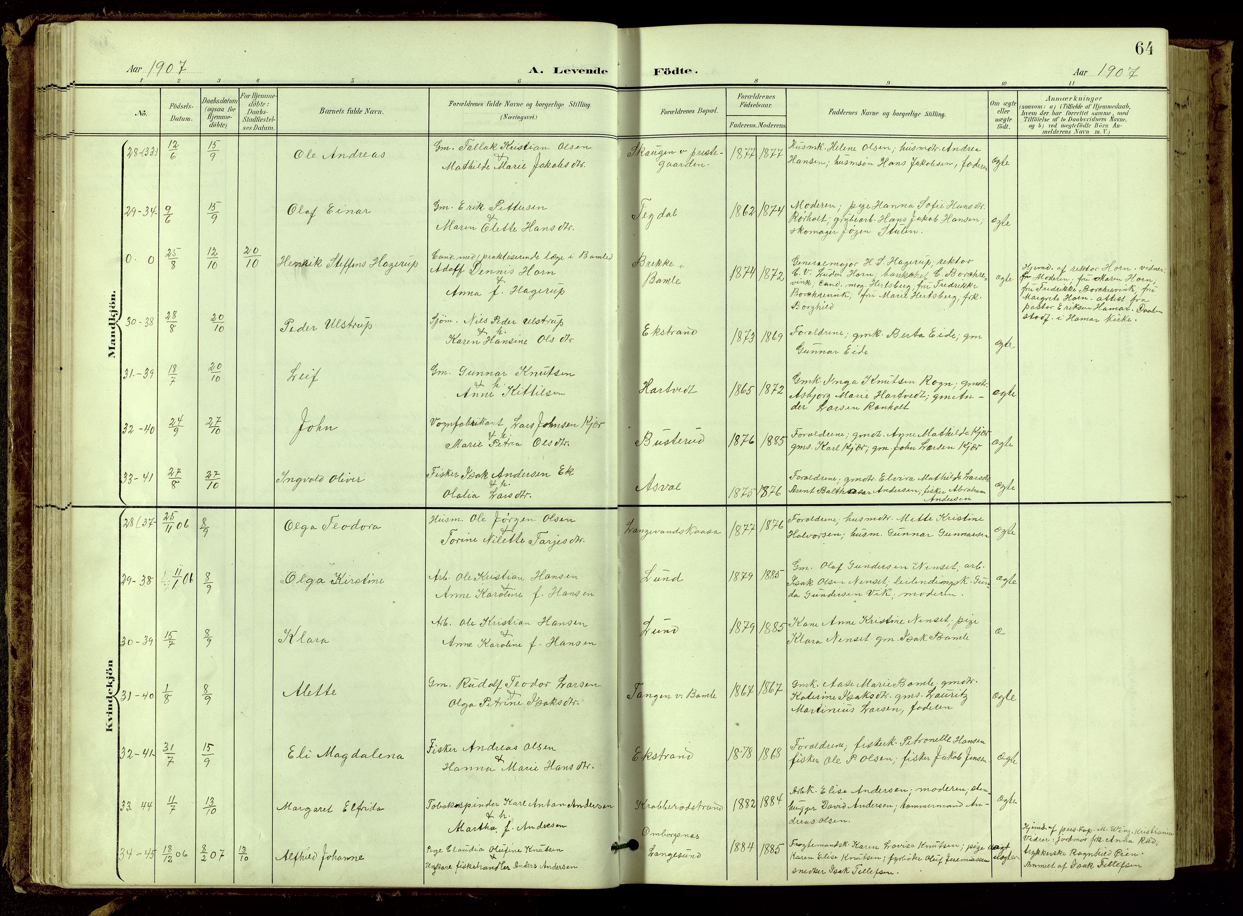 Bamble kirkebøker, SAKO/A-253/G/Ga/L0010: Parish register (copy) no. I 10, 1901-1919, p. 64