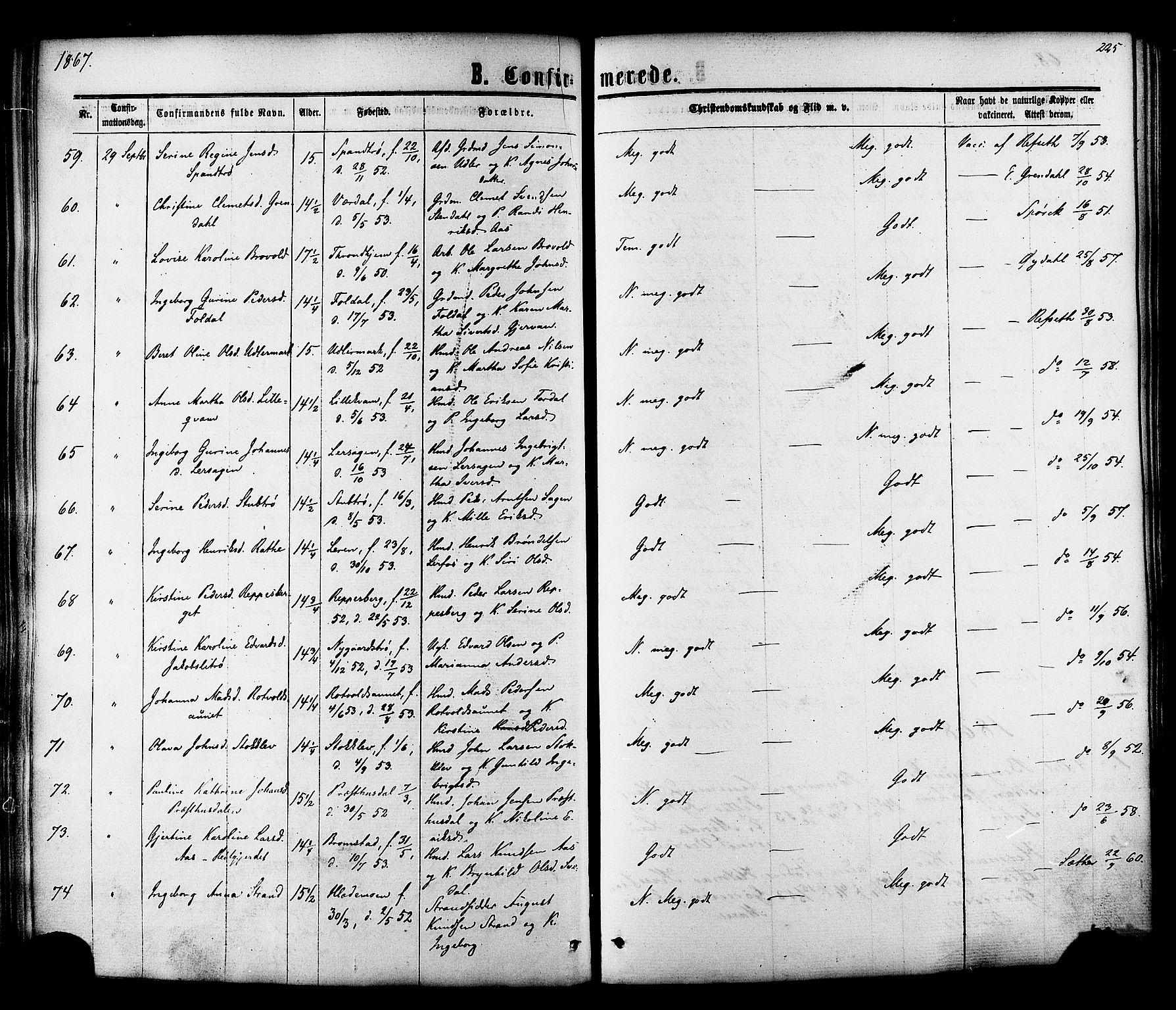 Ministerialprotokoller, klokkerbøker og fødselsregistre - Sør-Trøndelag, SAT/A-1456/606/L0293: Parish register (official) no. 606A08, 1866-1877, p. 225
