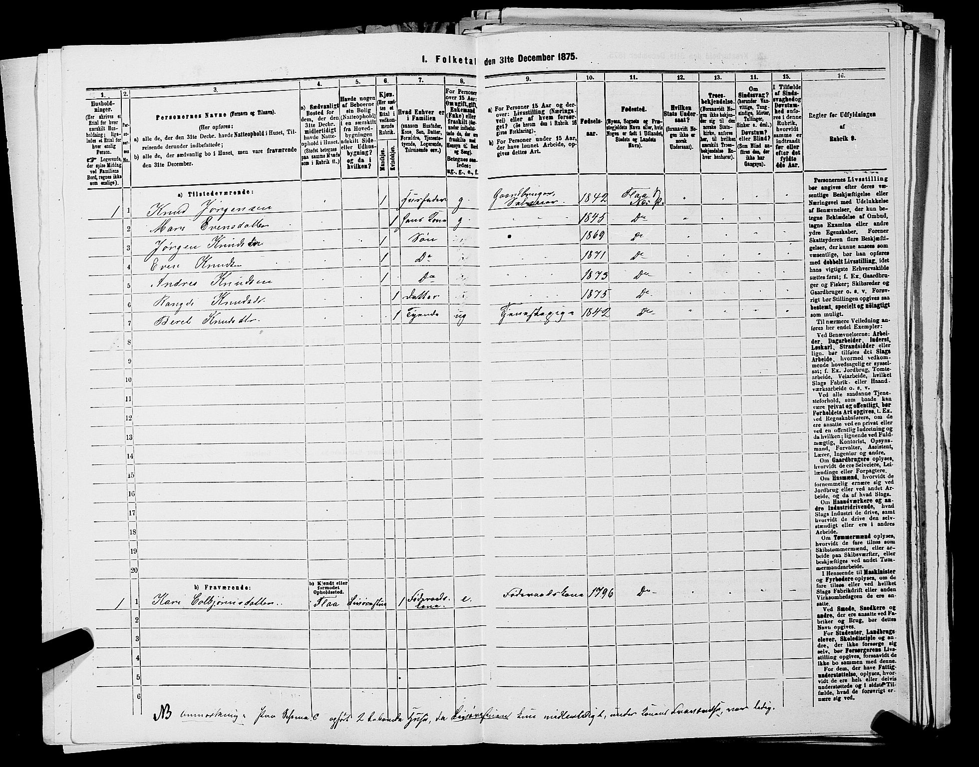 SAKO, 1875 census for 0616P Nes, 1875, p. 1174