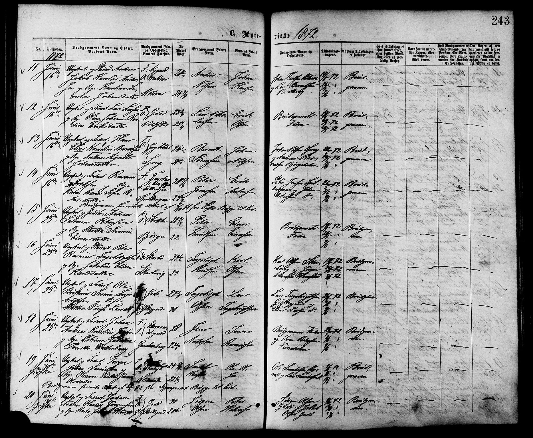 Ministerialprotokoller, klokkerbøker og fødselsregistre - Møre og Romsdal, AV/SAT-A-1454/528/L0399: Parish register (official) no. 528A10, 1864-1879, p. 243