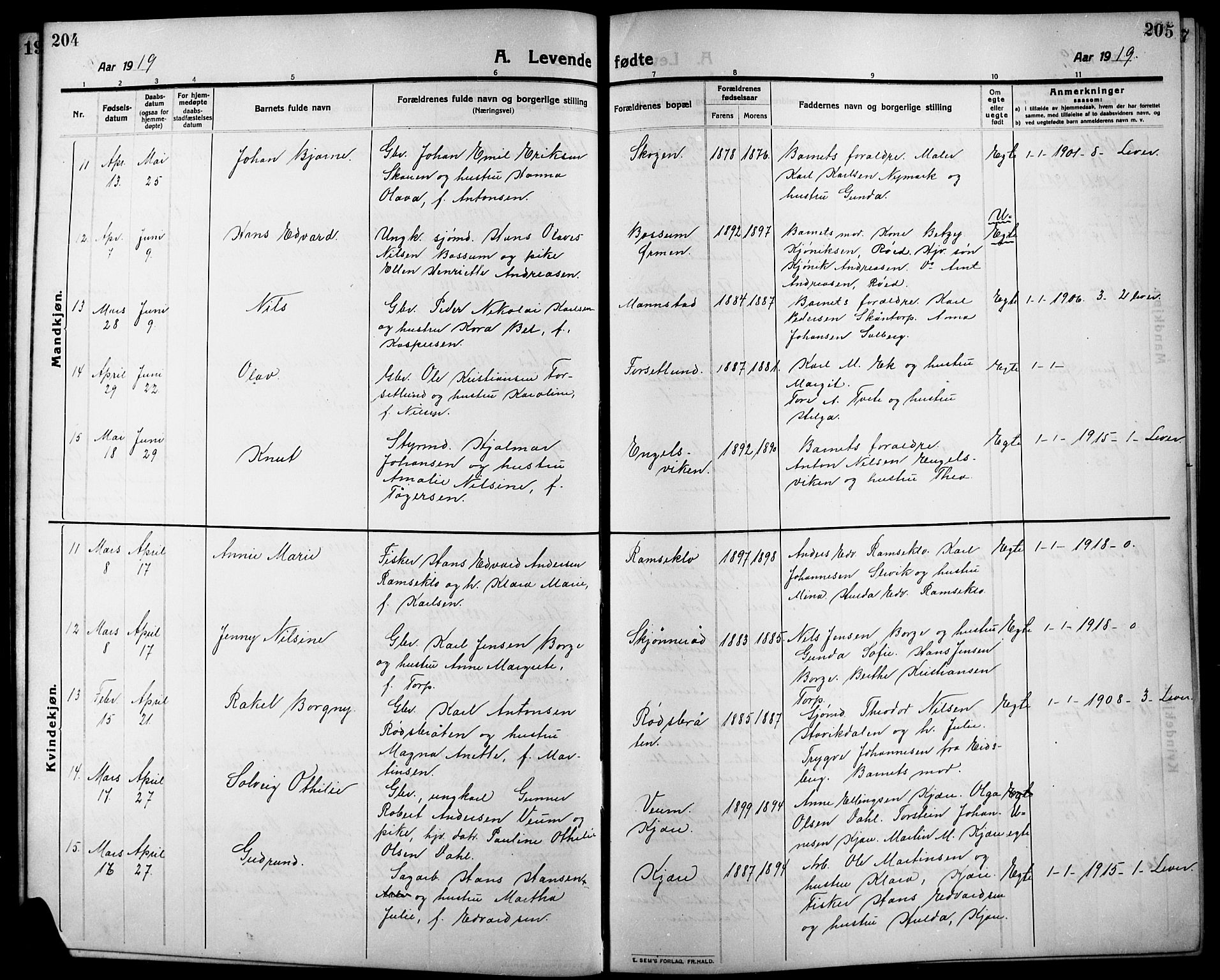 Onsøy prestekontor Kirkebøker, SAO/A-10914/G/Ga/L0003: Parish register (copy) no. I 3, 1910-1926, p. 204-205