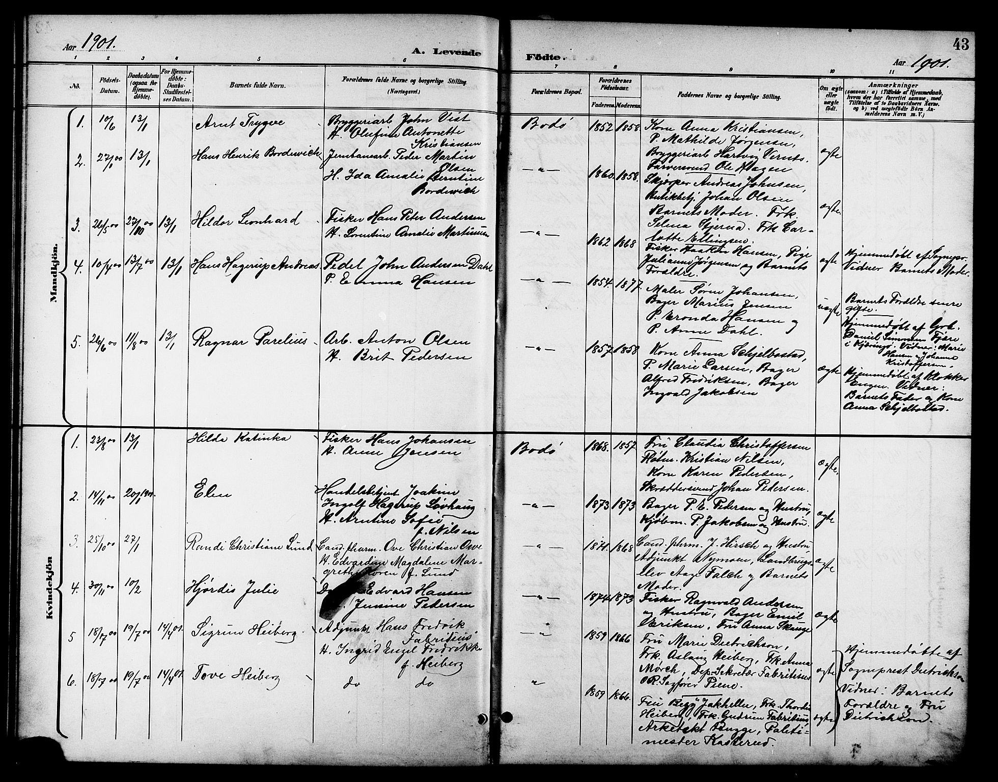 Ministerialprotokoller, klokkerbøker og fødselsregistre - Nordland, SAT/A-1459/801/L0033: Parish register (copy) no. 801C08, 1898-1910, p. 43