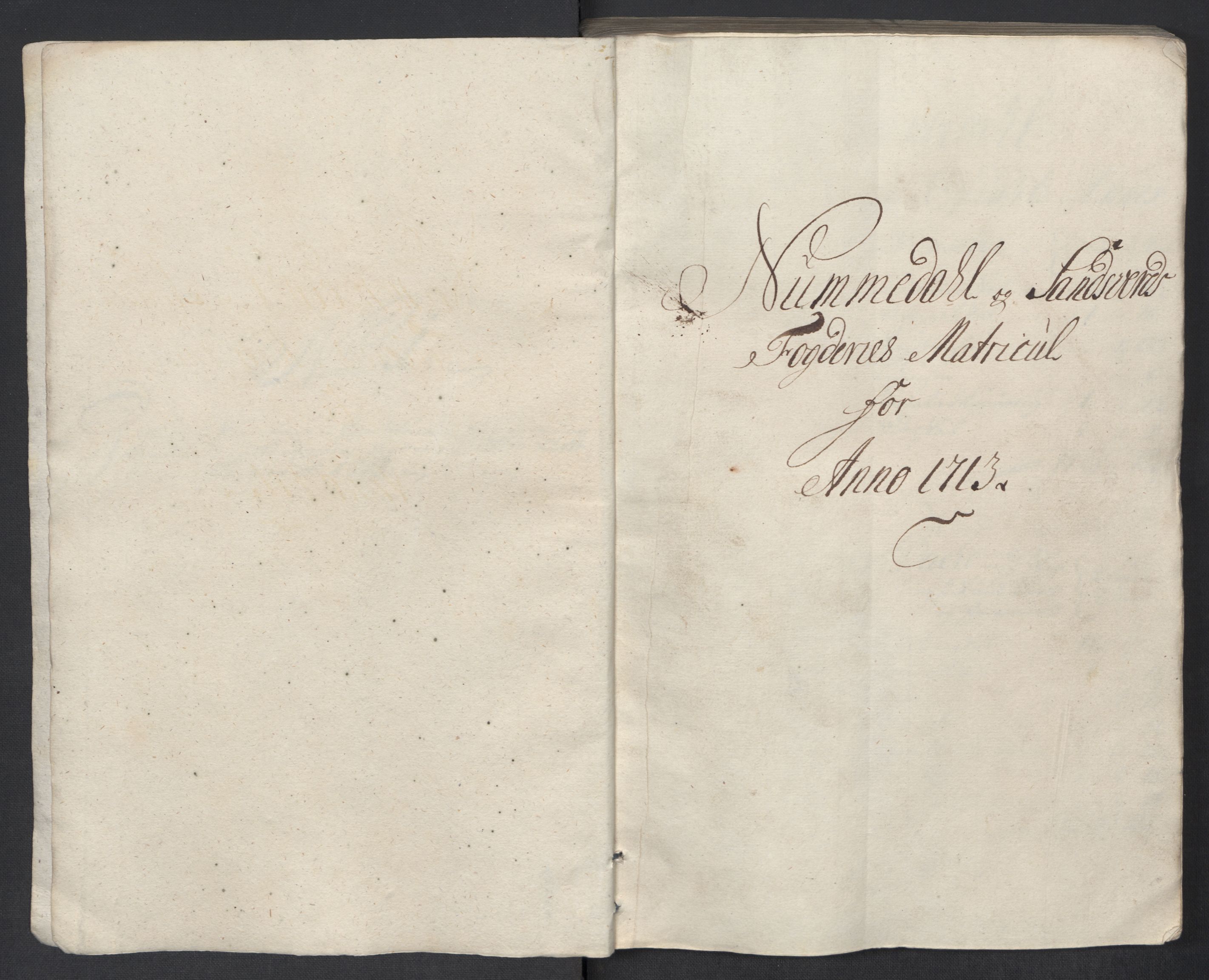 Rentekammeret inntil 1814, Reviderte regnskaper, Fogderegnskap, RA/EA-4092/R24/L1588: Fogderegnskap Numedal og Sandsvær, 1713, p. 28
