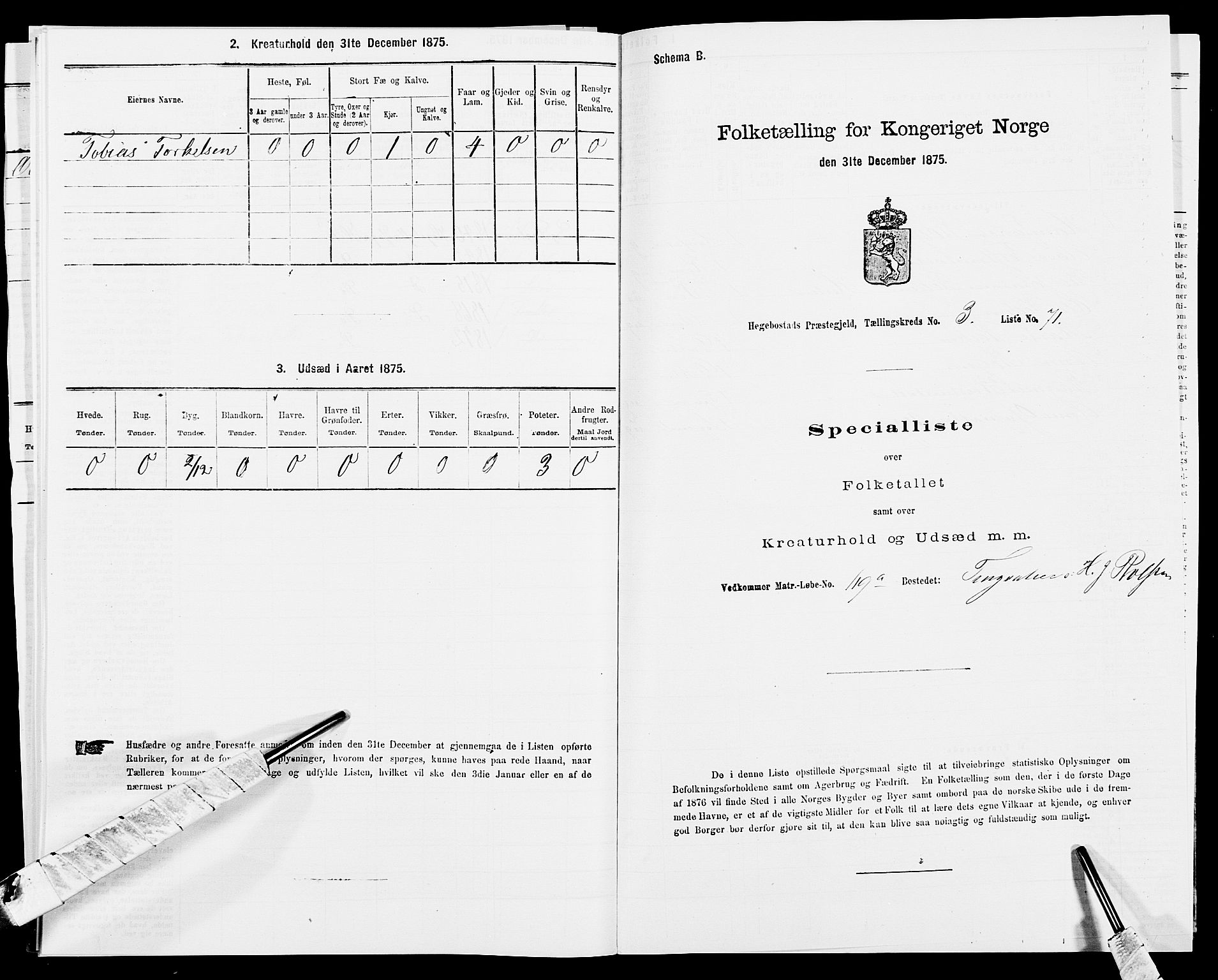 SAK, 1875 census for 1034P Hægebostad, 1875, p. 343