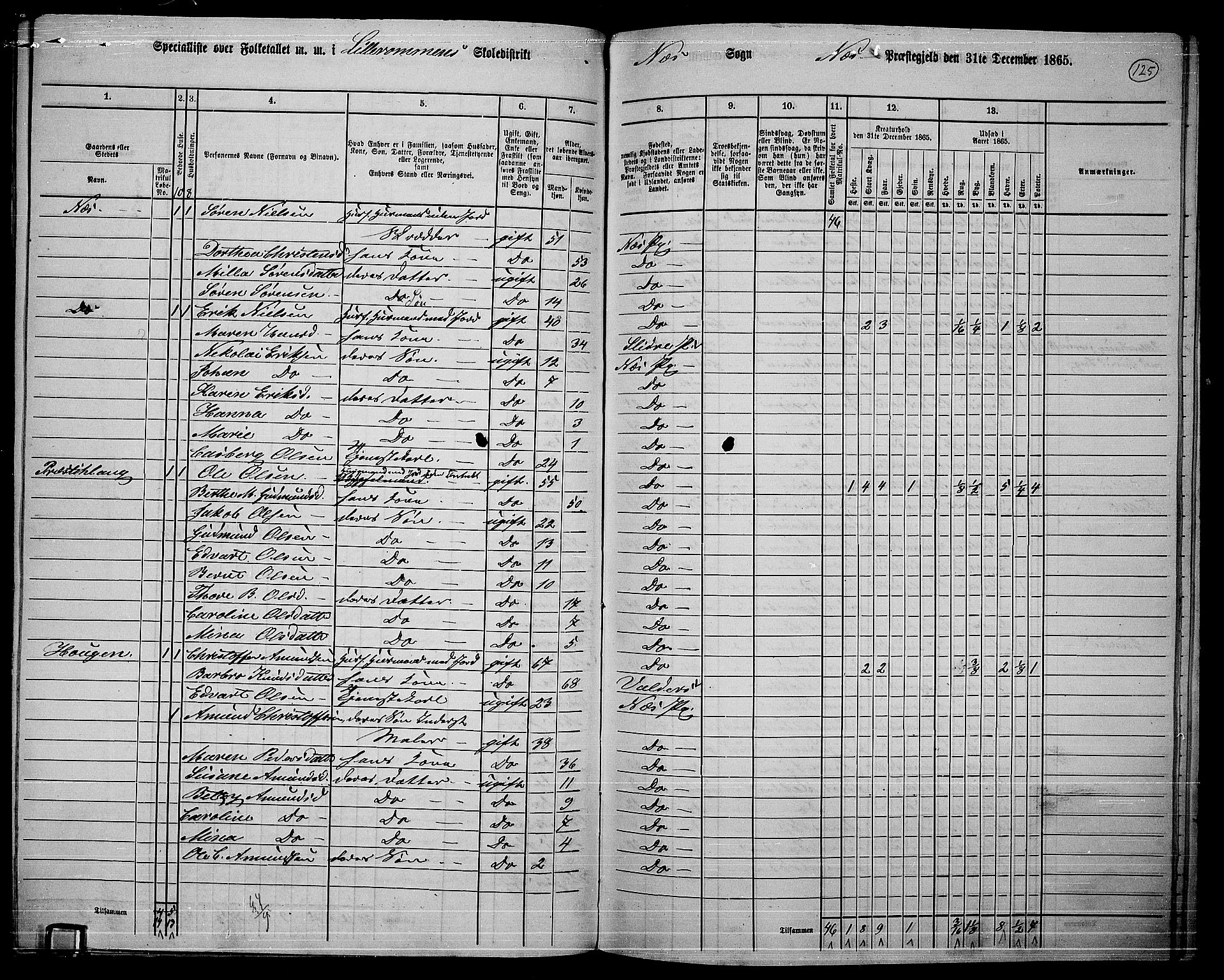 RA, 1865 census for Nes, 1865, p. 112