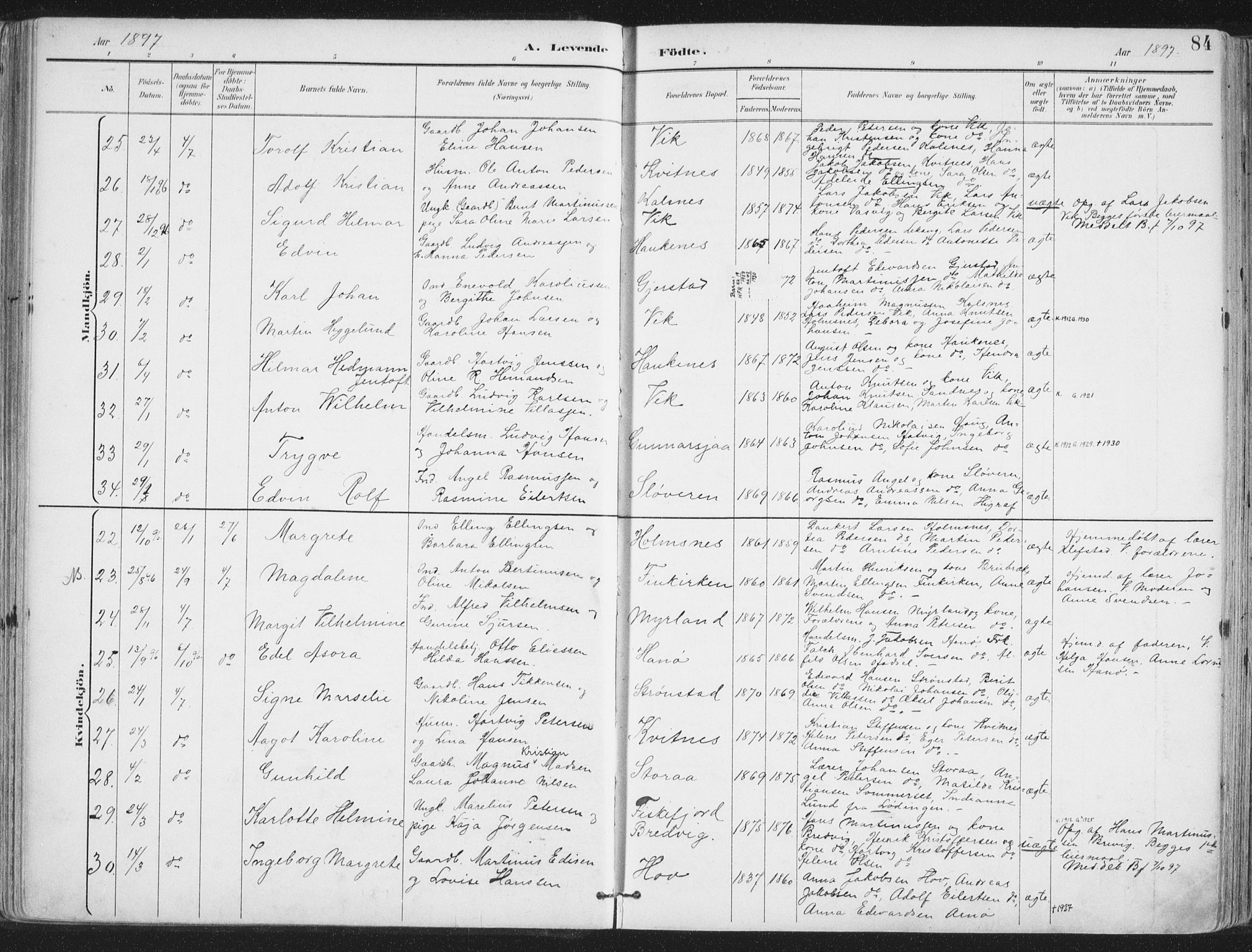 Ministerialprotokoller, klokkerbøker og fødselsregistre - Nordland, AV/SAT-A-1459/888/L1246: Parish register (official) no. 888A12, 1891-1903, p. 84