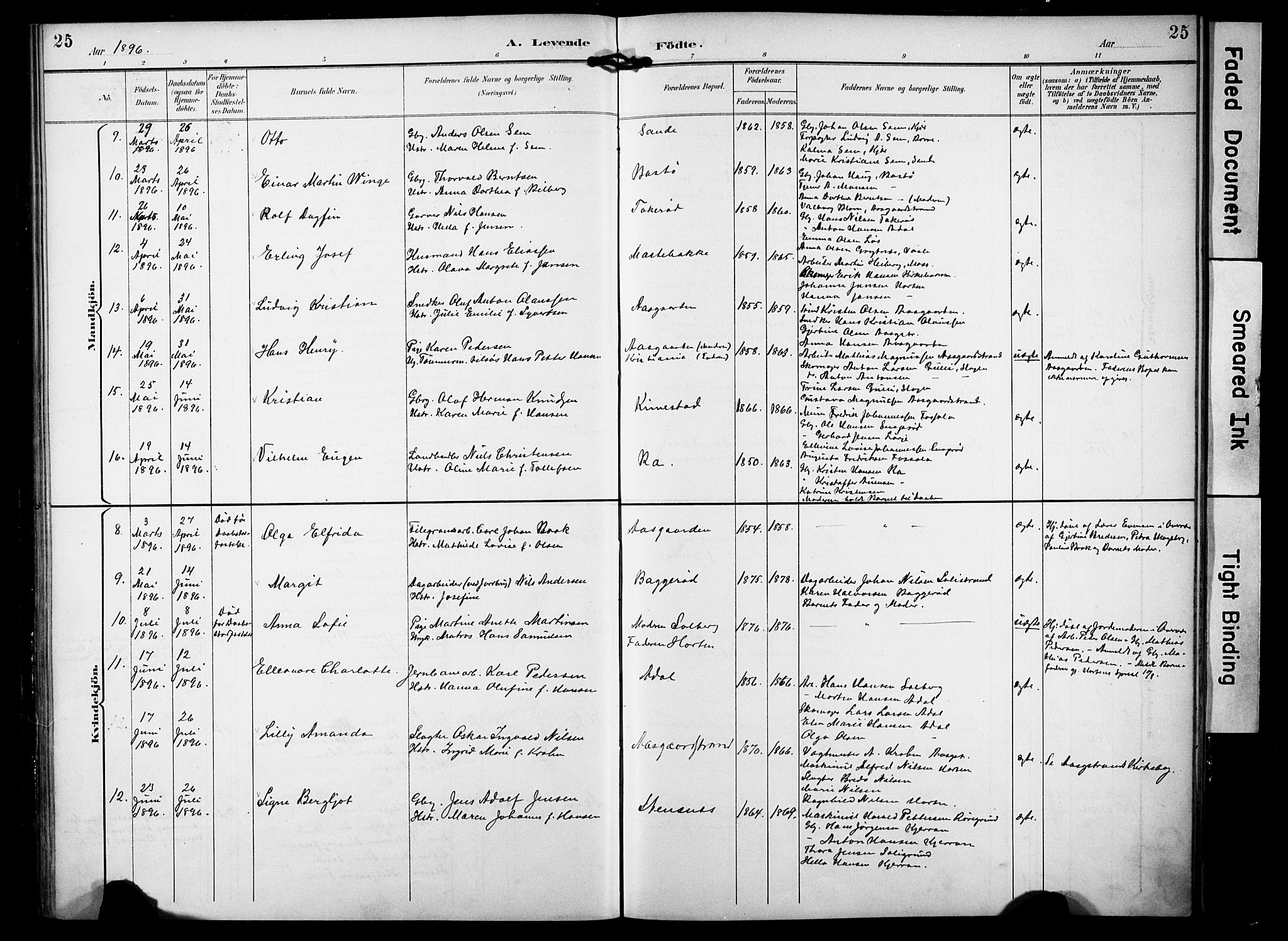 Borre kirkebøker, AV/SAKO-A-338/F/Fa/L0010: Parish register (official) no. I 10, 1892-1896, p. 25