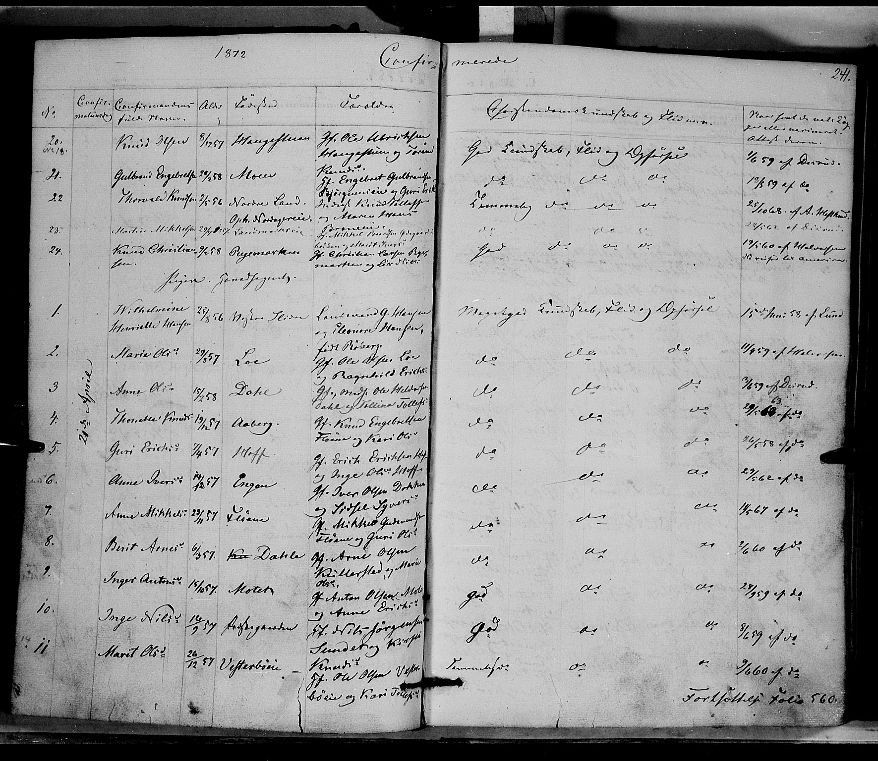 Nord-Aurdal prestekontor, AV/SAH-PREST-132/H/Ha/Haa/L0008: Parish register (official) no. 8, 1863-1875, p. 241