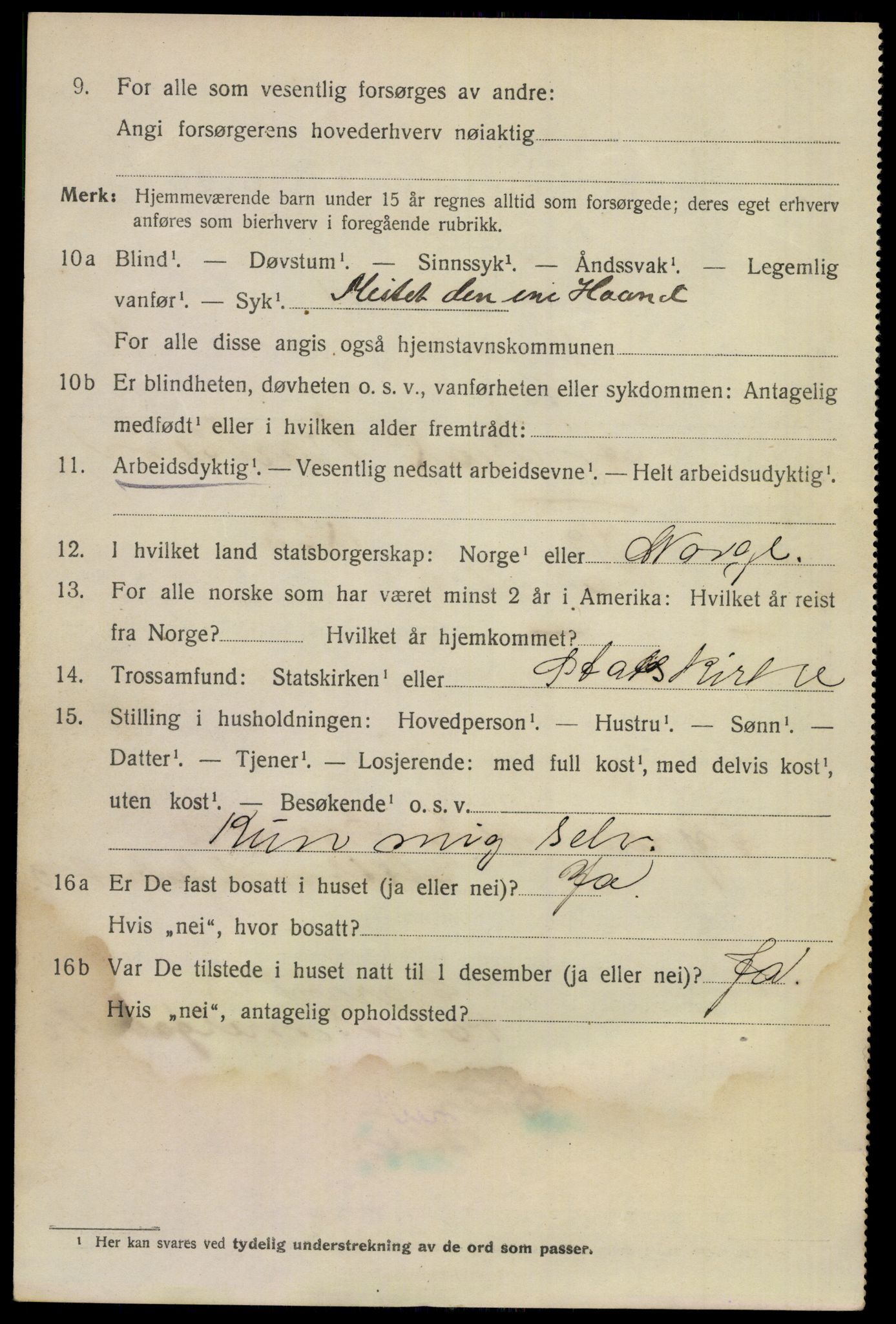 SAKO, 1920 census for Larvik, 1920, p. 28305