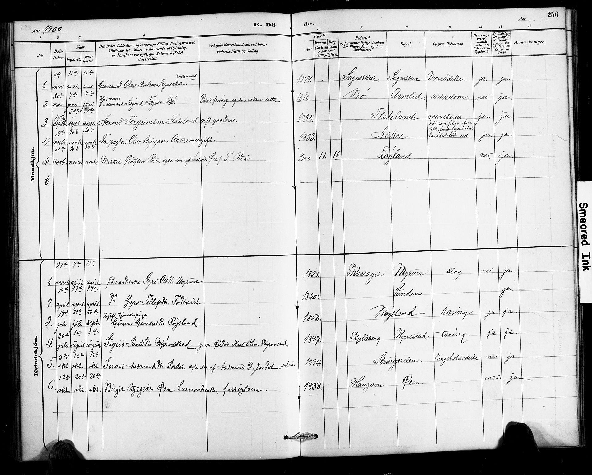 Valle sokneprestkontor, AV/SAK-1111-0044/F/Fb/Fbc/L0004: Parish register (copy) no. B 4, 1890-1928, p. 256