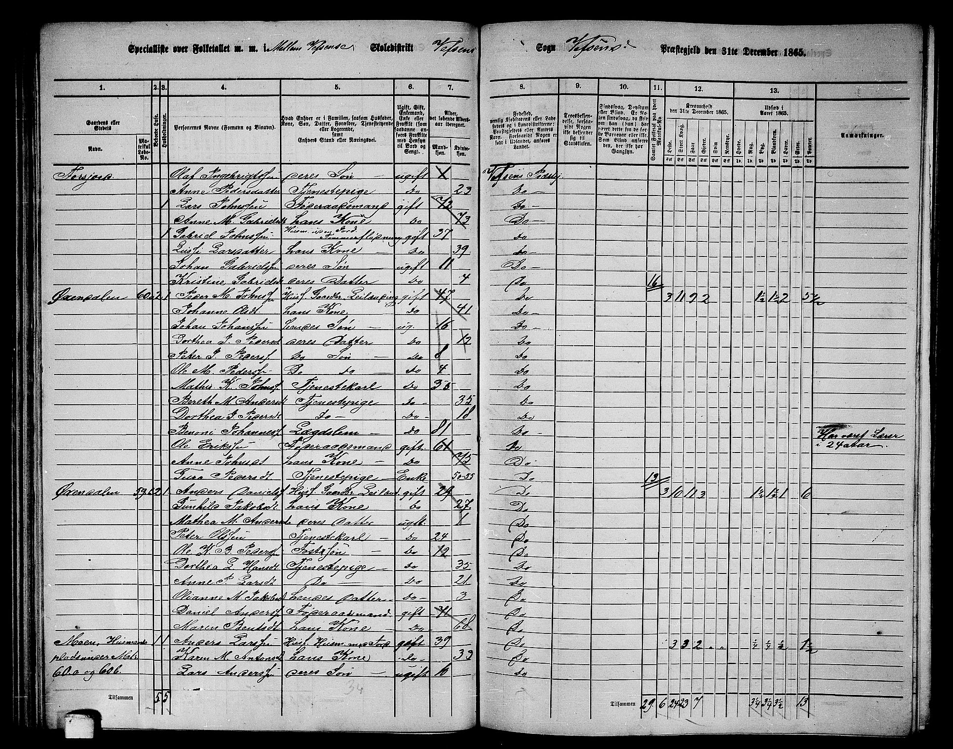 RA, 1865 census for Vefsn, 1865, p. 89