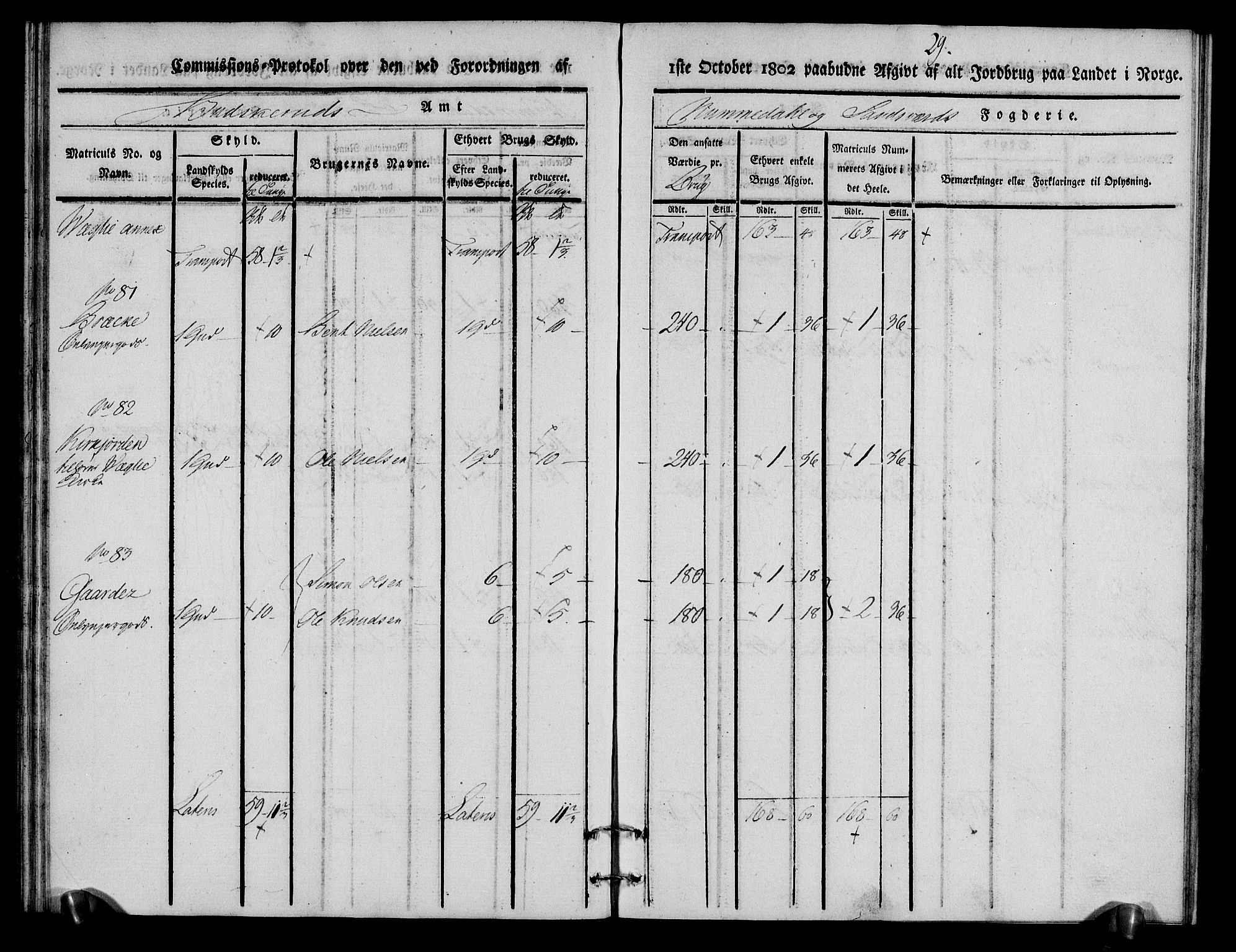 Rentekammeret inntil 1814, Realistisk ordnet avdeling, RA/EA-4070/N/Ne/Nea/L0056a: Numedal og Sandsvær fogderi. Kommisjonsprotokoll for Rollag hovedsogn og Veggli anneks, 1803, p. 30