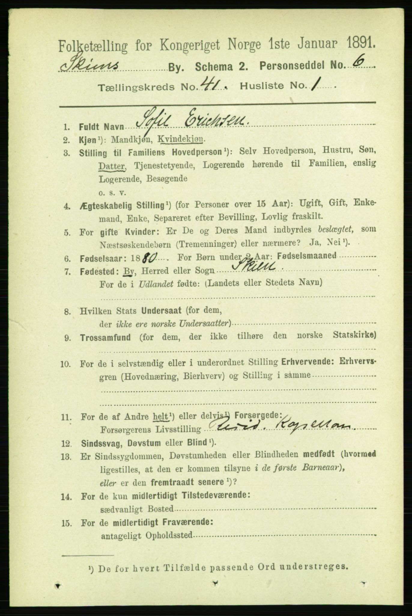 RA, 1891 census for 0806 Skien, 1891, p. 8446