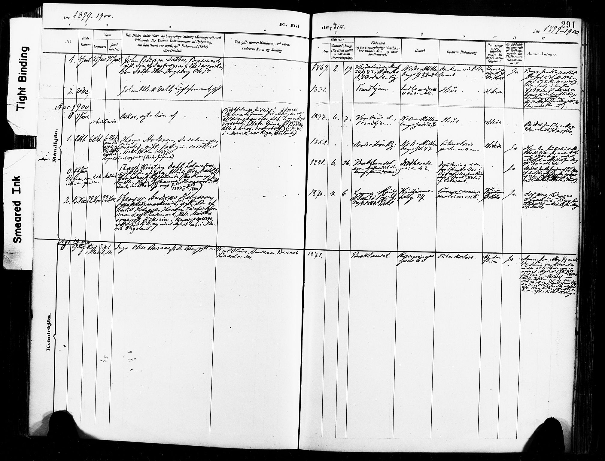 Ministerialprotokoller, klokkerbøker og fødselsregistre - Sør-Trøndelag, SAT/A-1456/604/L0198: Parish register (official) no. 604A19, 1893-1900, p. 291