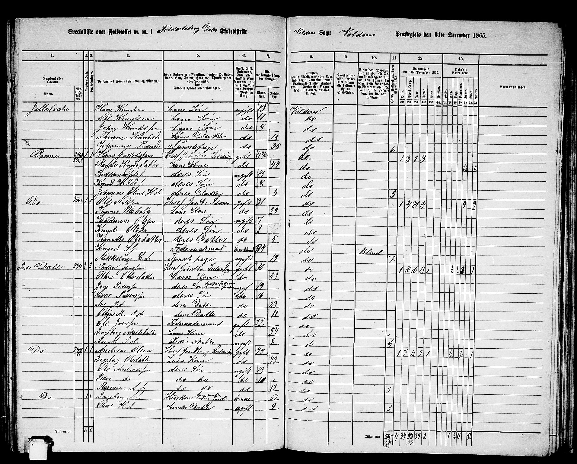 RA, 1865 census for Volda, 1865, p. 132