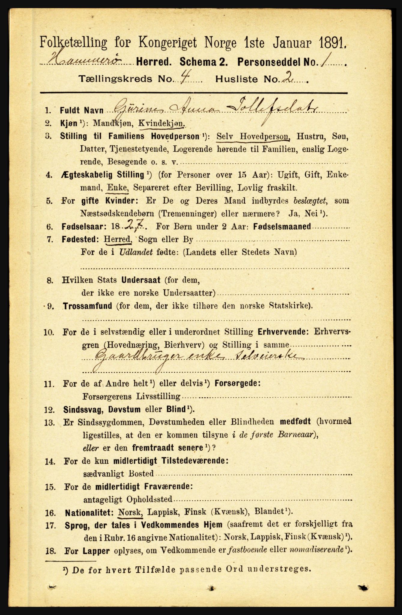 RA, 1891 census for 1849 Hamarøy, 1891, p. 1955