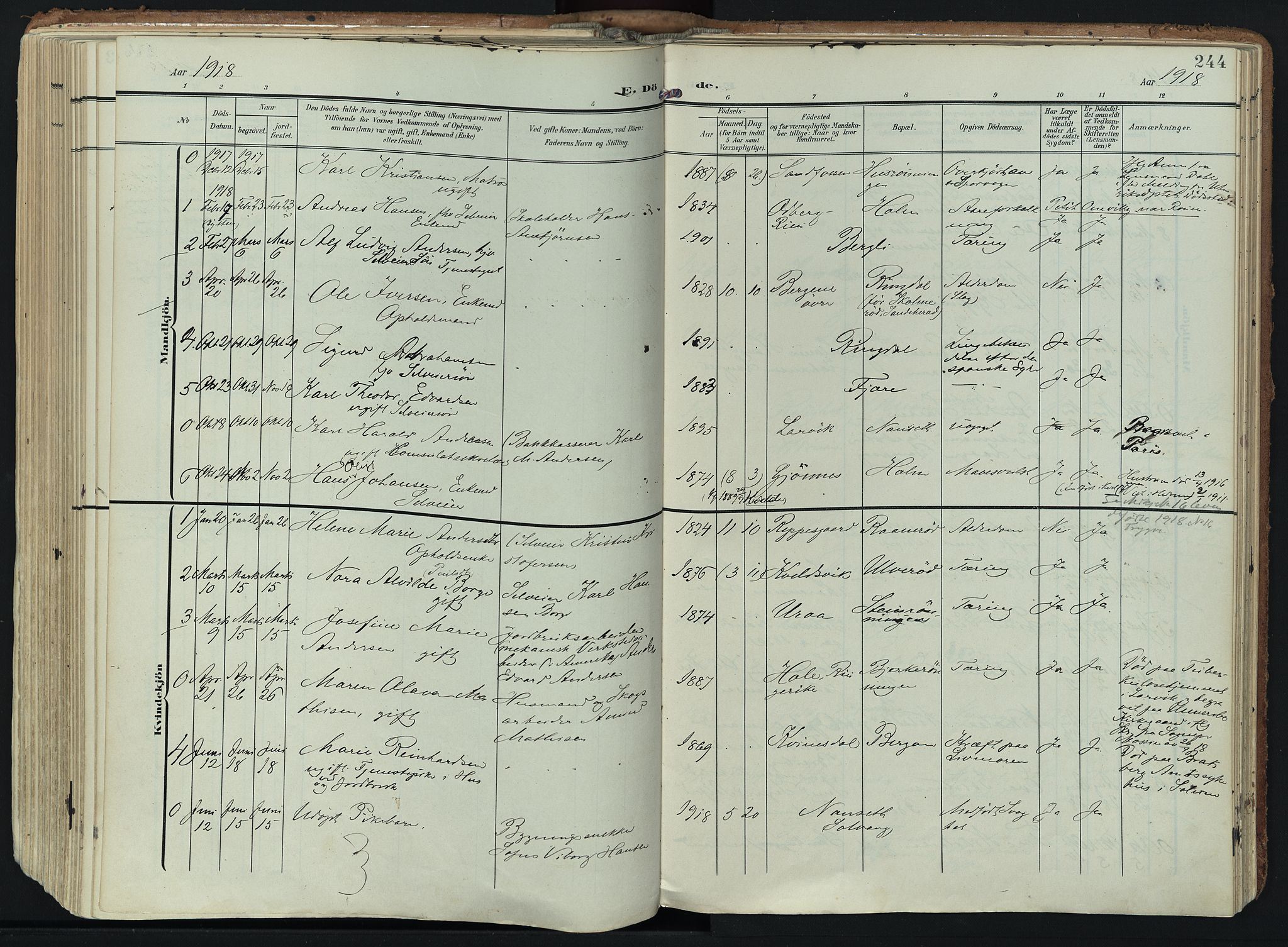 Hedrum kirkebøker, SAKO/A-344/F/Fa/L0010: Parish register (official) no. I 10, 1904-1918, p. 244